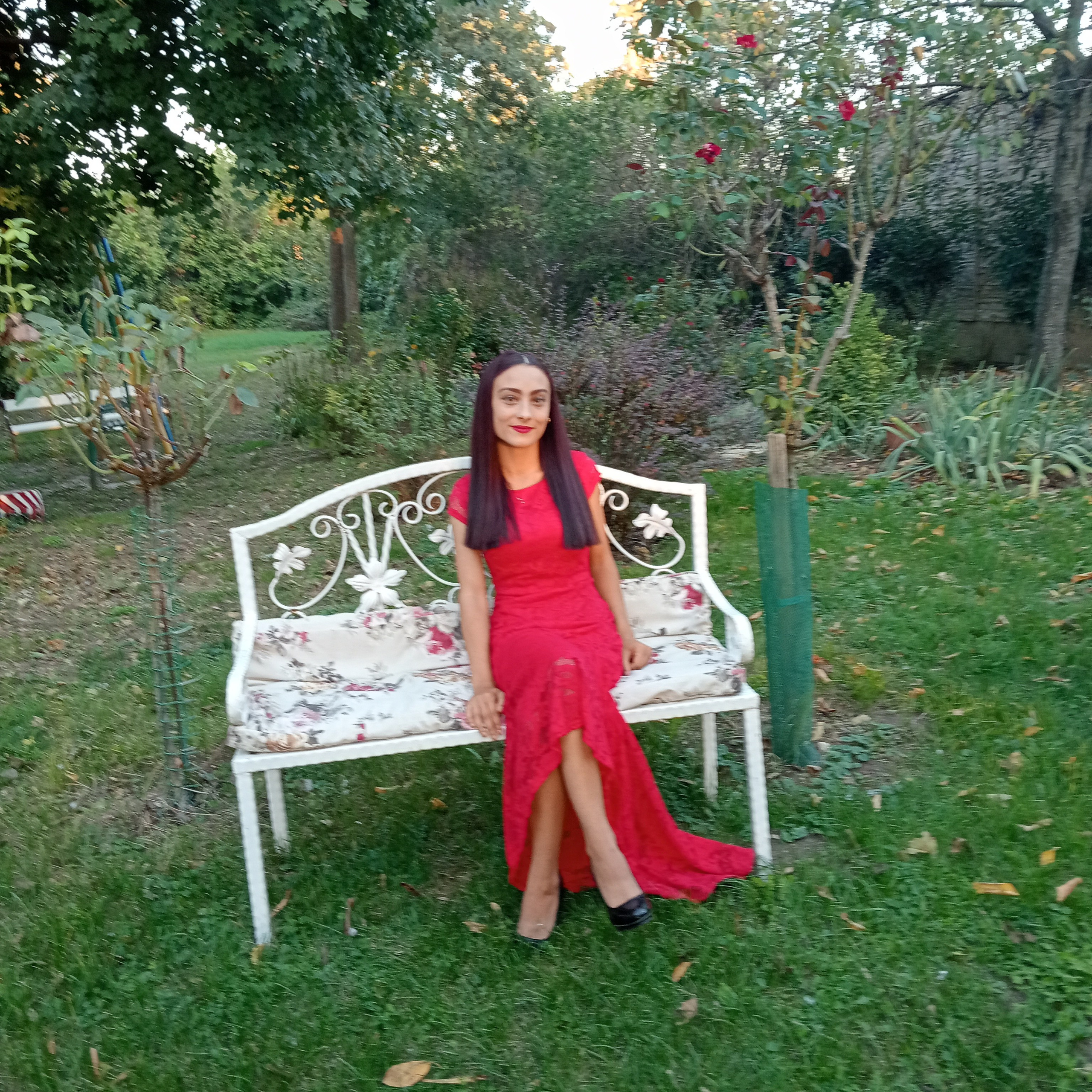 Recenzii. Trendy Albums