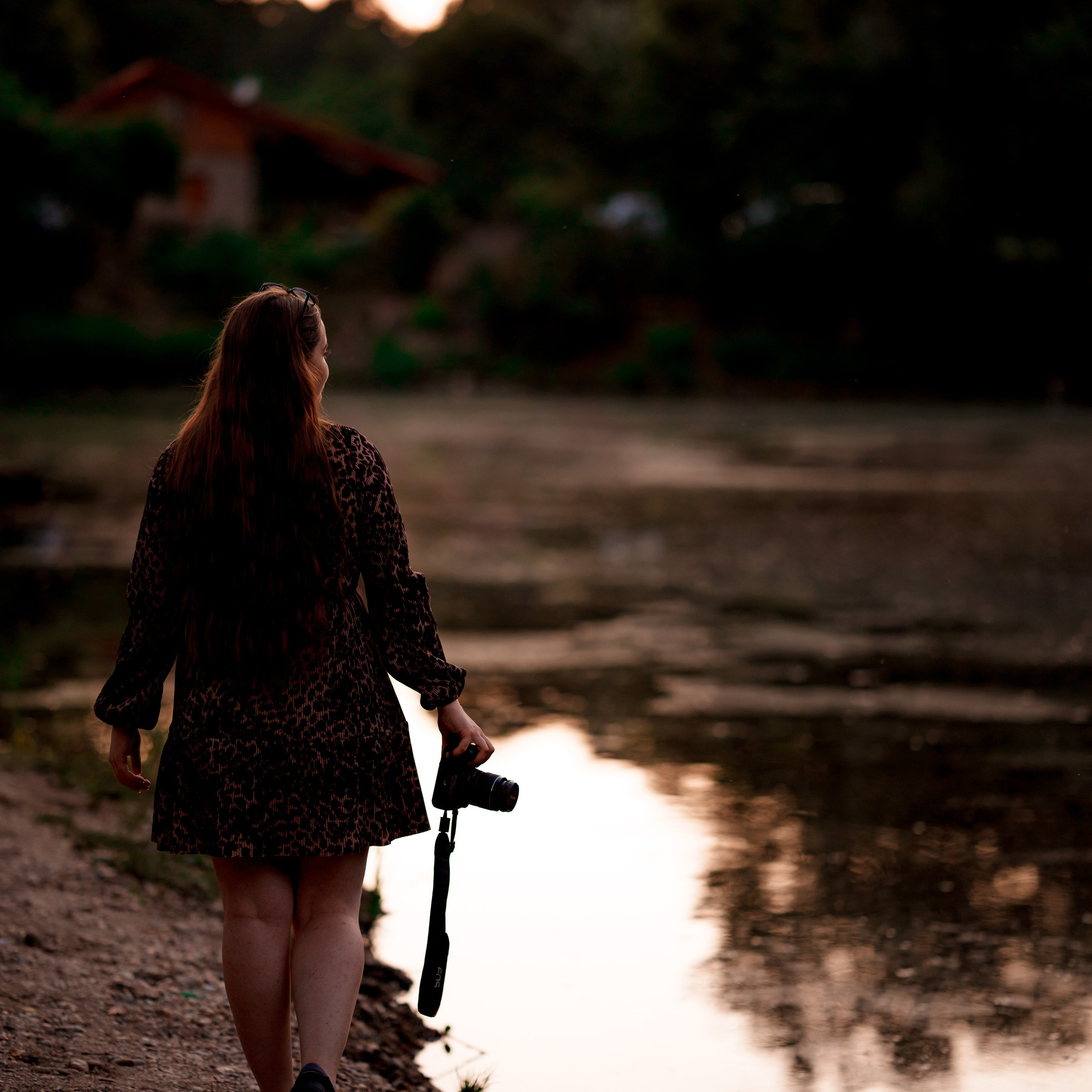 Recenzii. Trendy Albums