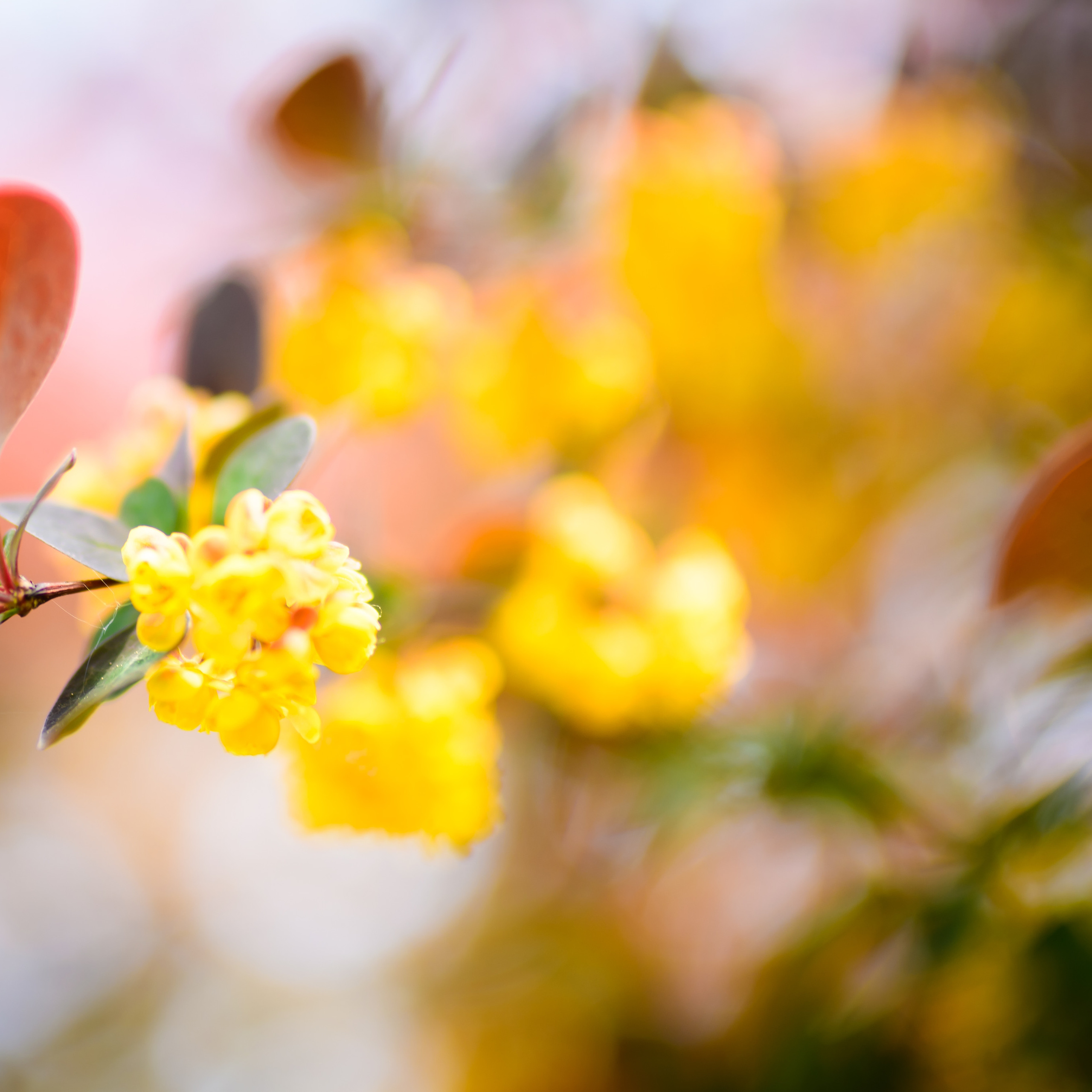 Referenzen. Ich bin Max, Designer, Art & Hochzeitsfotograf aus Germaringen