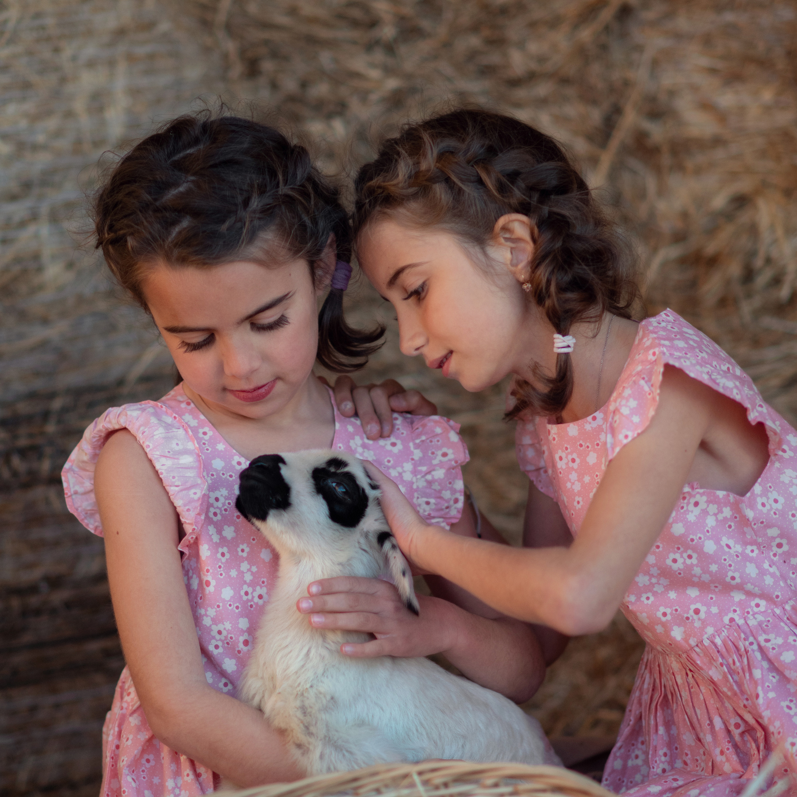 Сестрички с овечкой