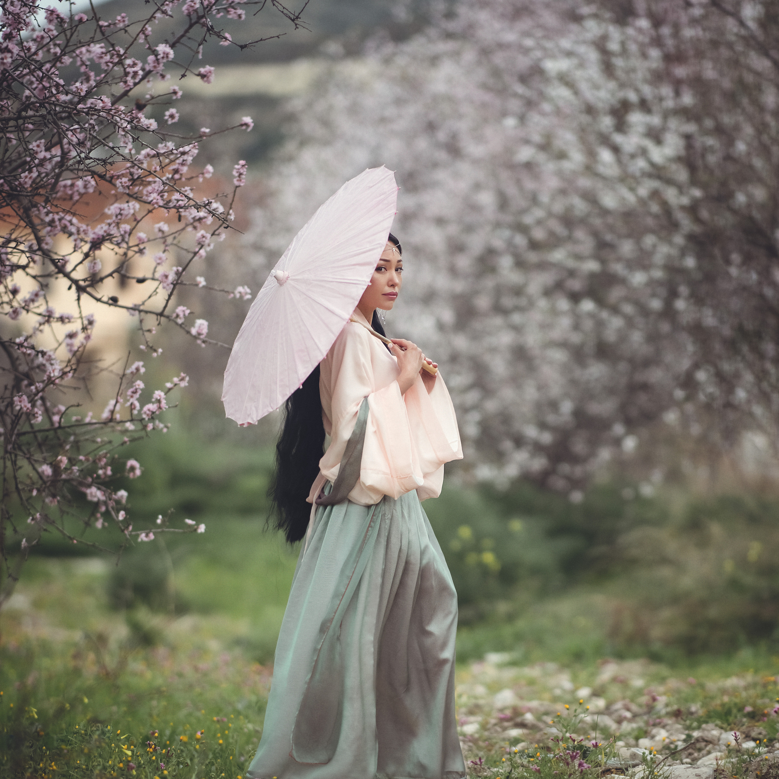 Гейша в цветении миндаля