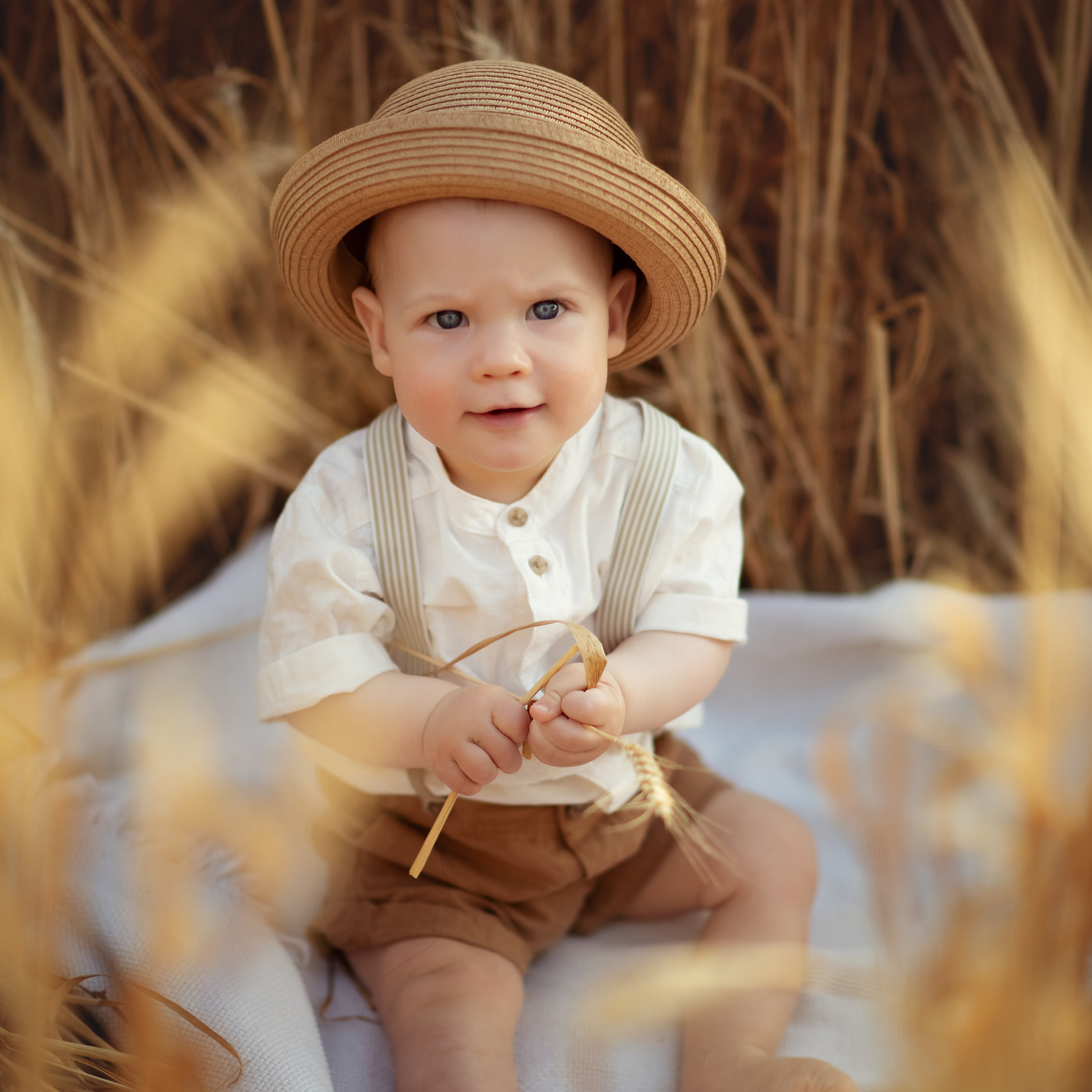 На пшеничном поле