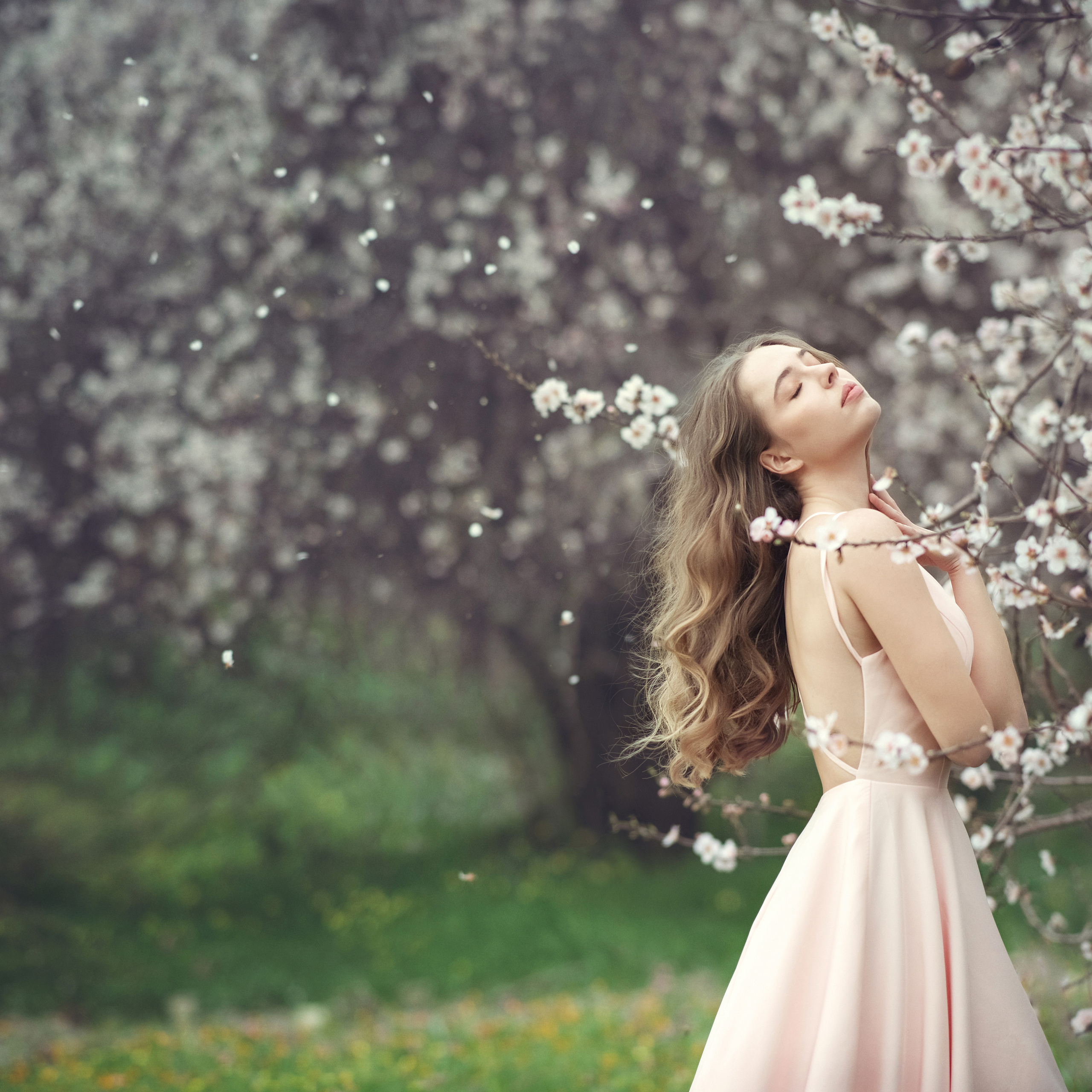 В миндальном саду