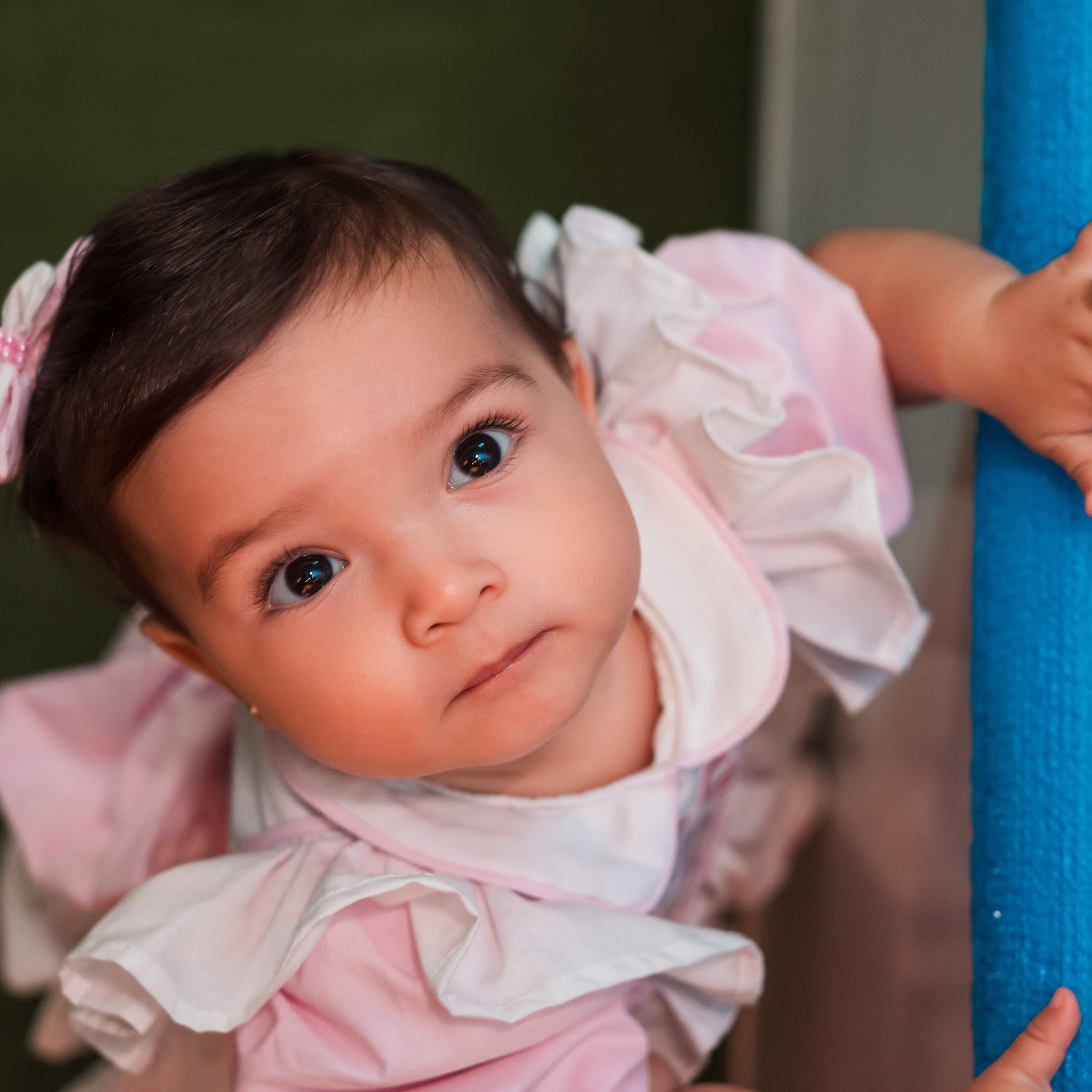 O 1 Ano da Cecília