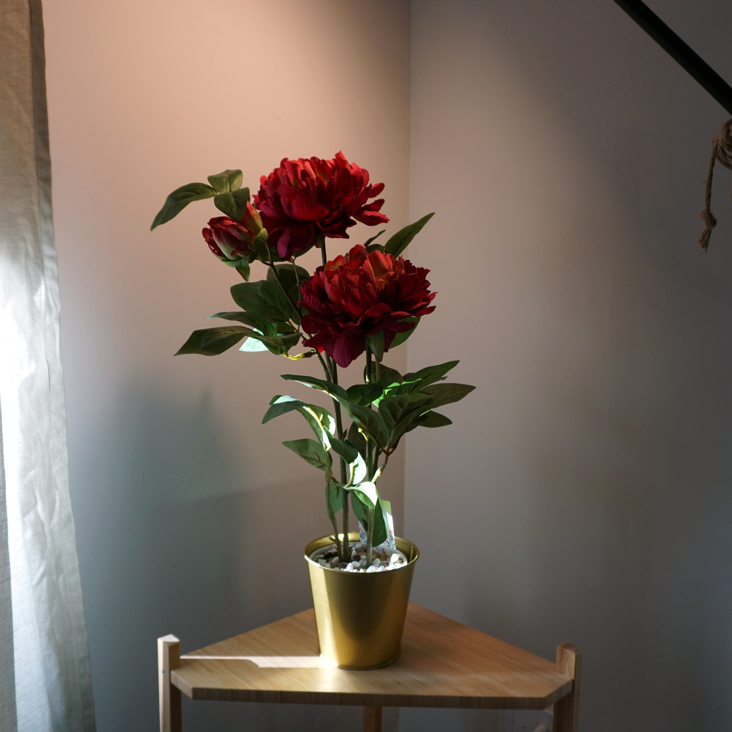 COMFORT CHE SI SENTI SUBITO