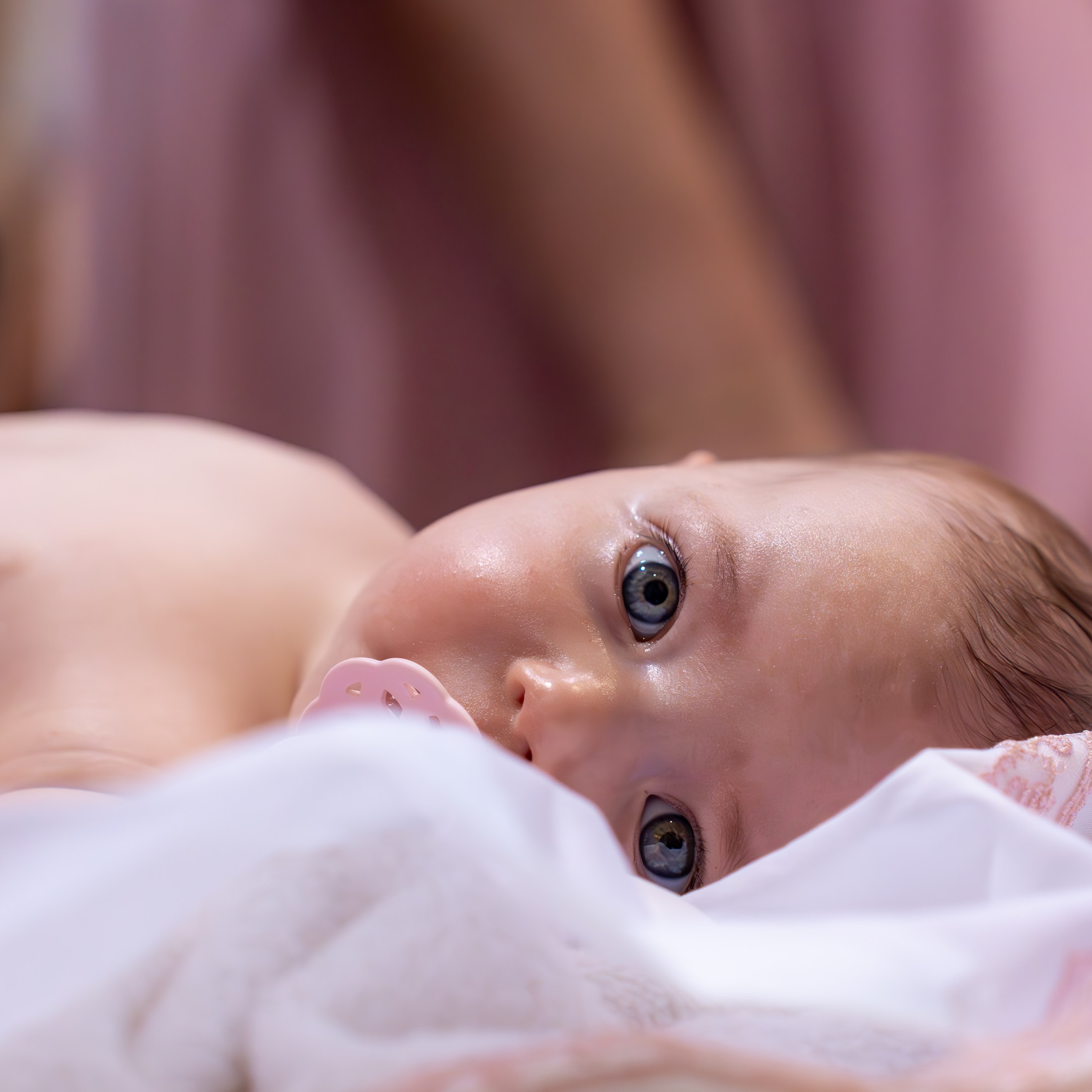 ✨ Portofoliu Botez ✨