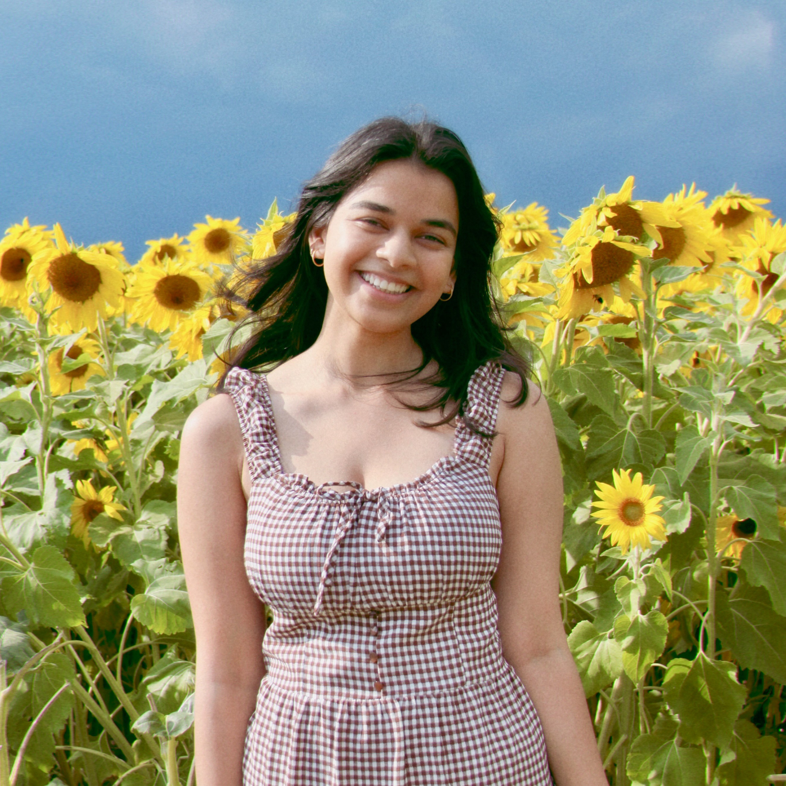 Sunflower farm shoot with Annie