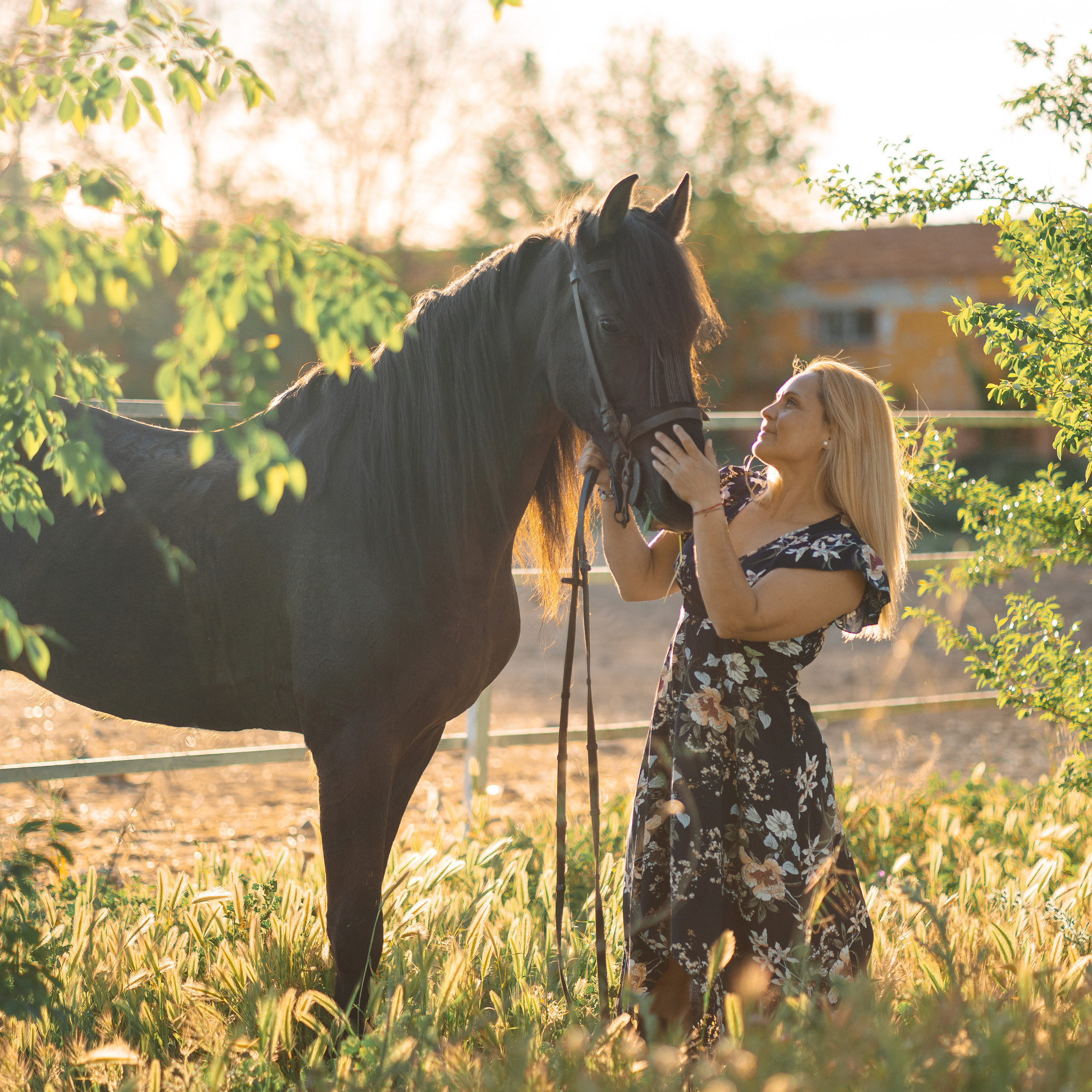 Reseñas. Fotógrafa en Madrid | Retratos femeninos, familia y sesiones con caballos – Anna Maruleva