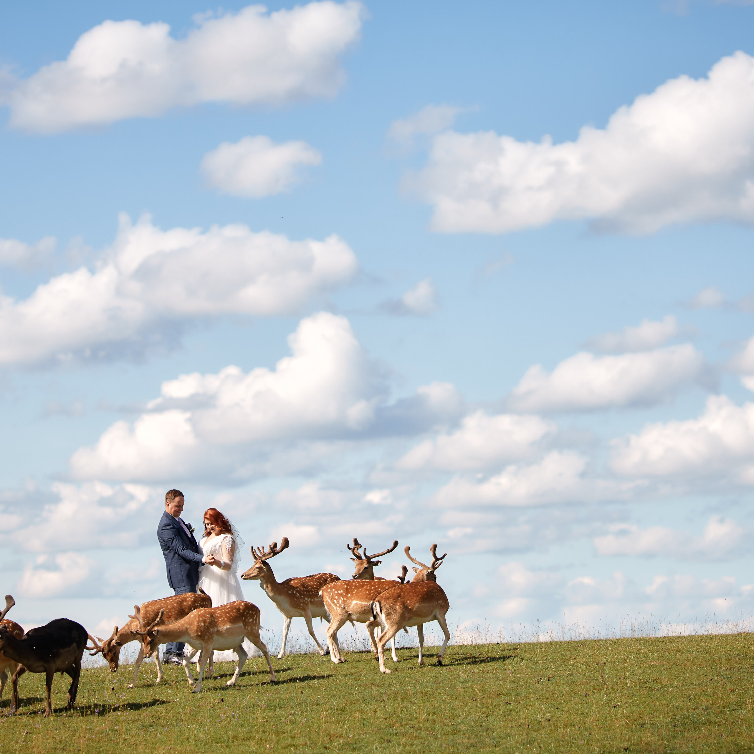 Отзывы. Свадебный фотограф В Даугавпилсе Юрий Теплов