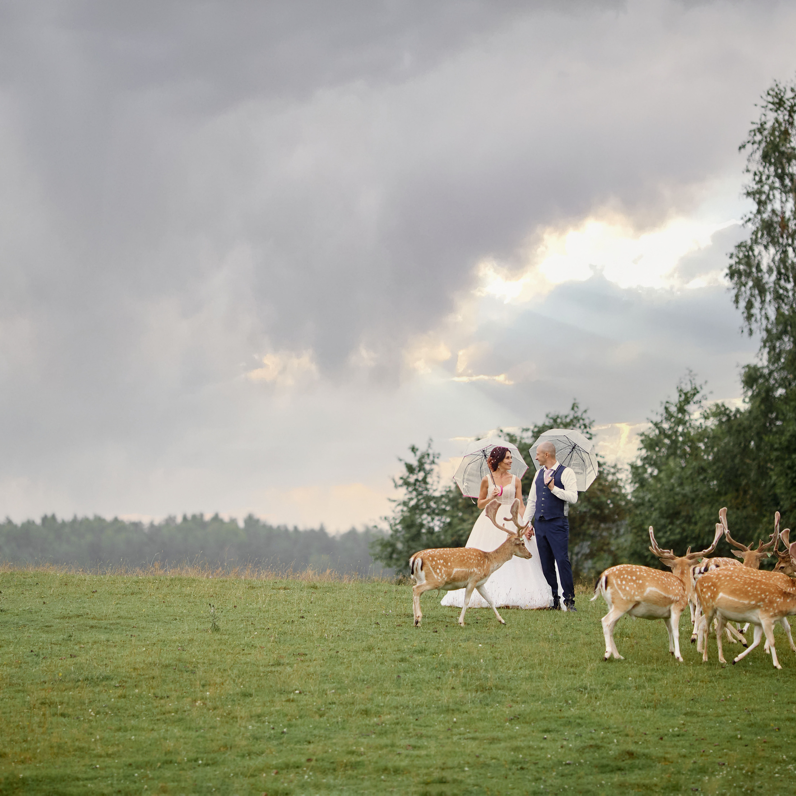 Отзывы. Свадебный фотограф В Даугавпилсе Юрий Теплов