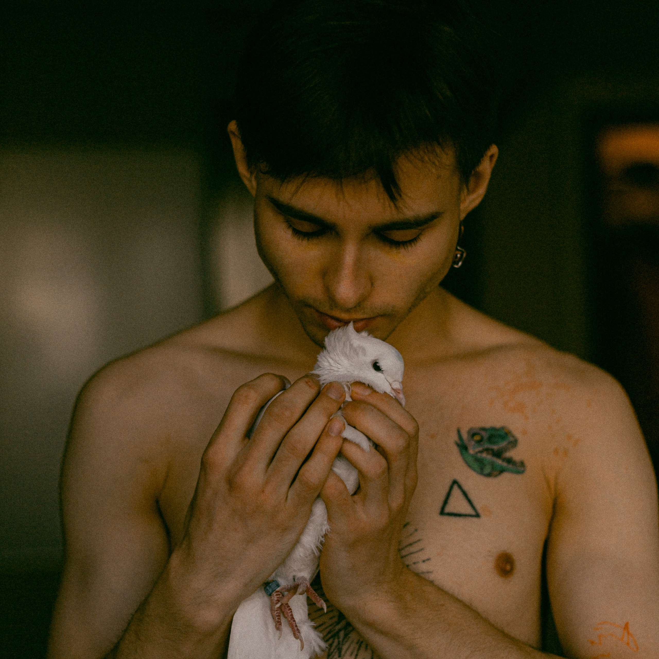 Yasha y la paloma de la paz