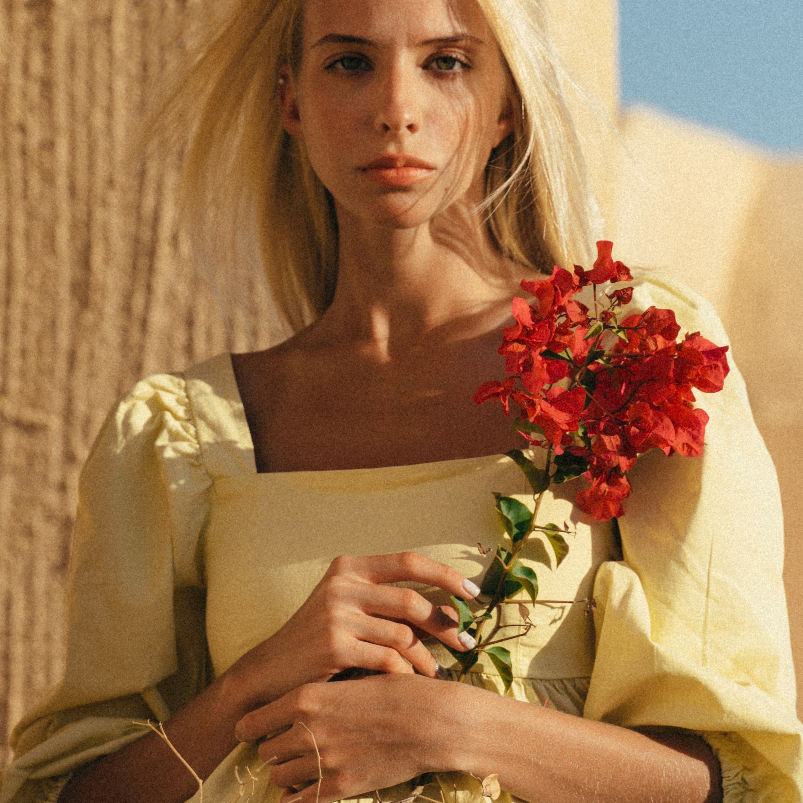 Professional Photography, Videography, and Drone Services in Ireland