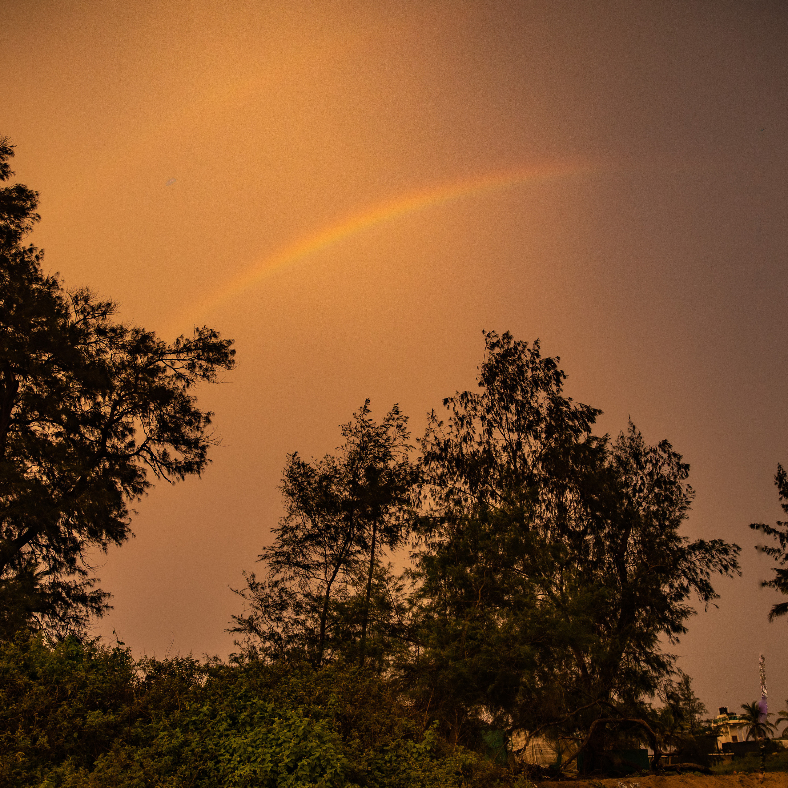 FEEDBACK. International Photographer