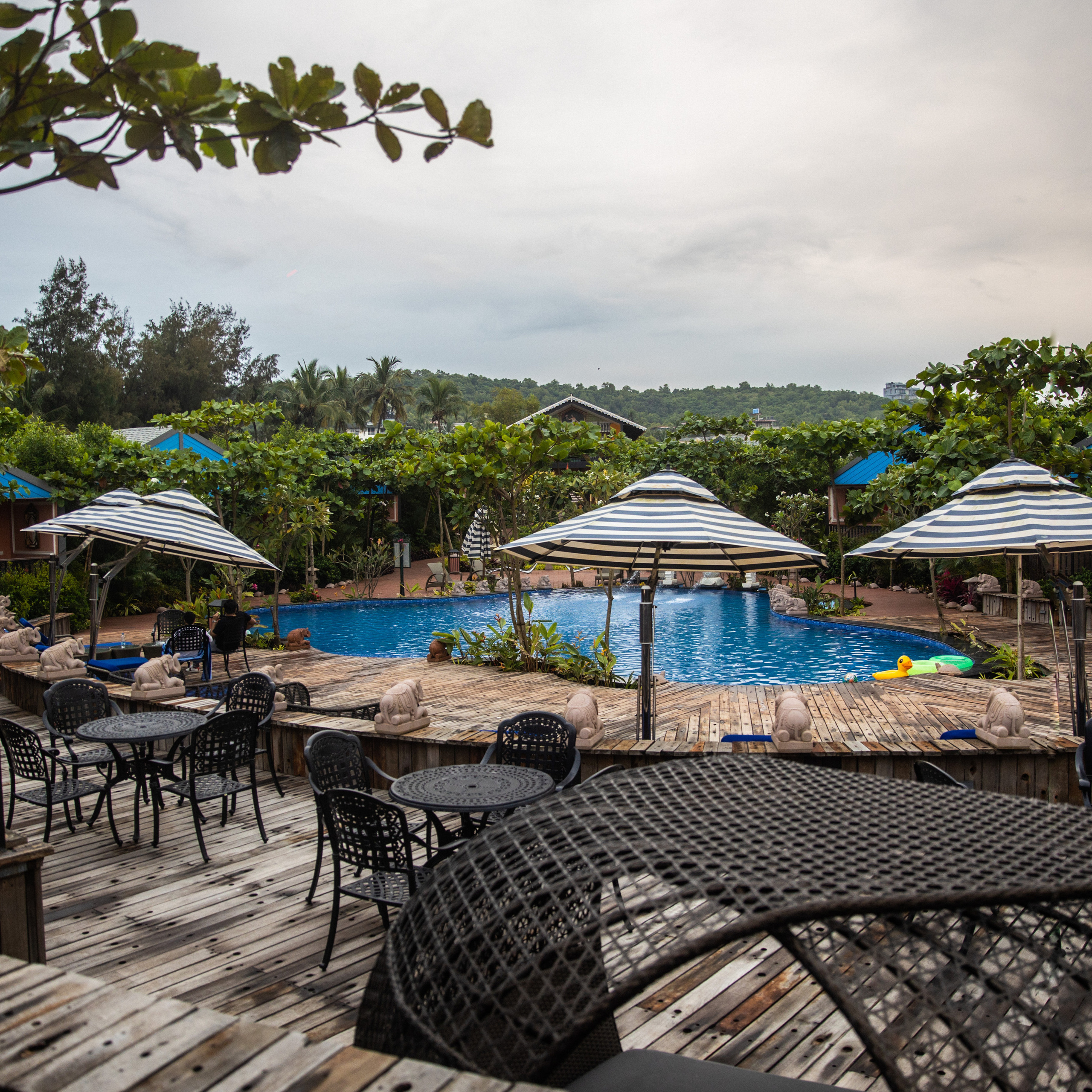 FEEDBACK. International Photographer