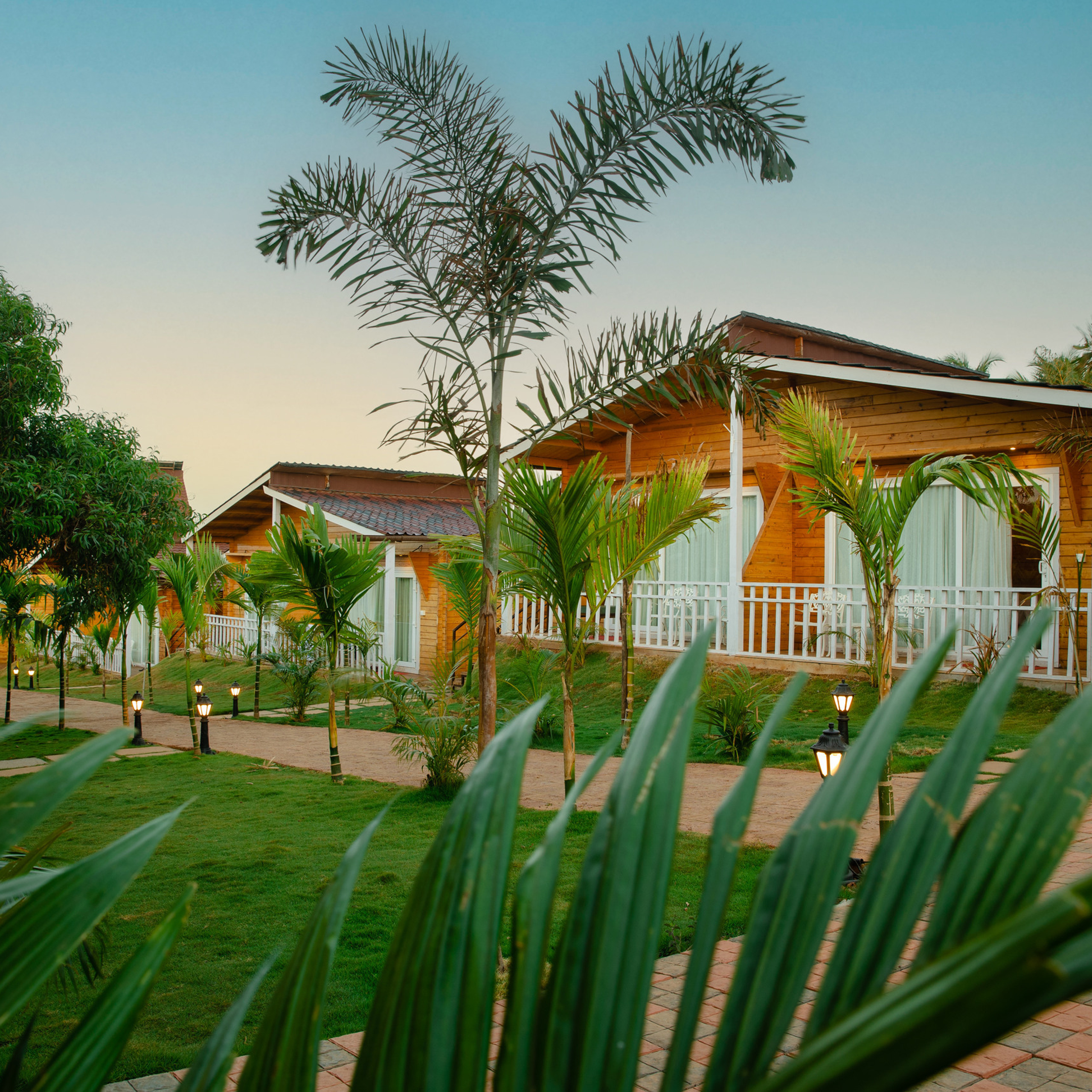 FEEDBACK. International Photographer