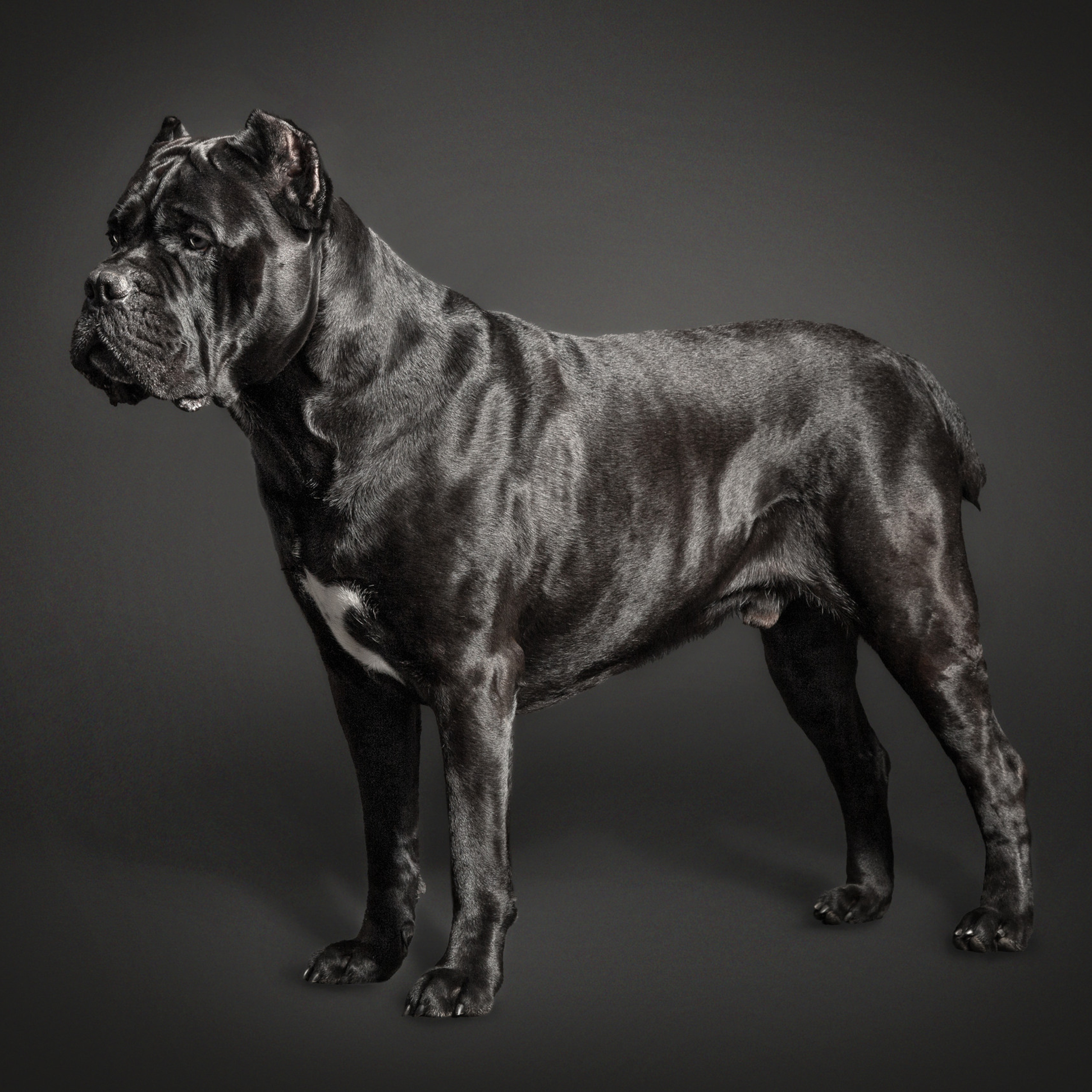 Отзывы. Фотограф в Таллине Виктория Баранова |фотосессии и обучение / Photographer Viktoria Baranova