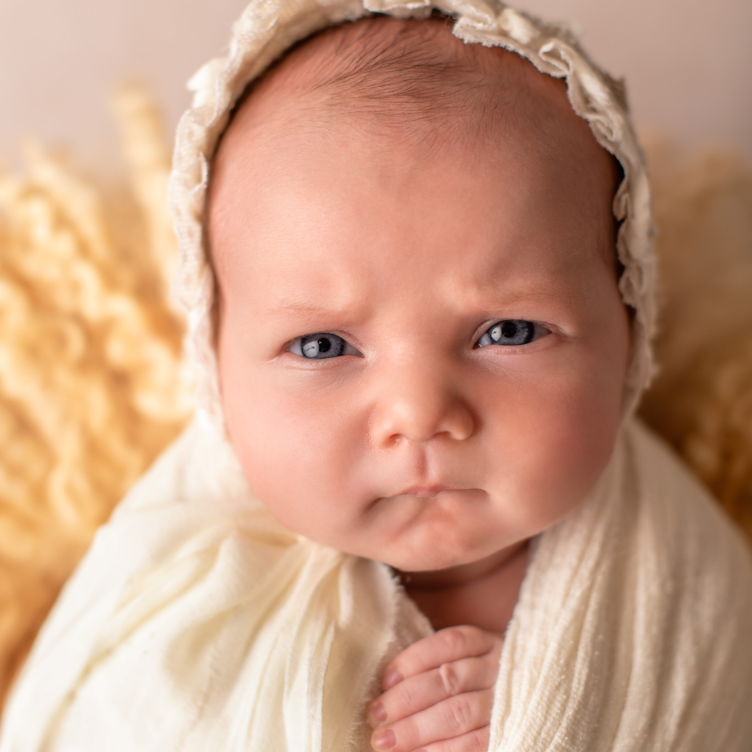 Testimonials. Newborn photographer Sacramento