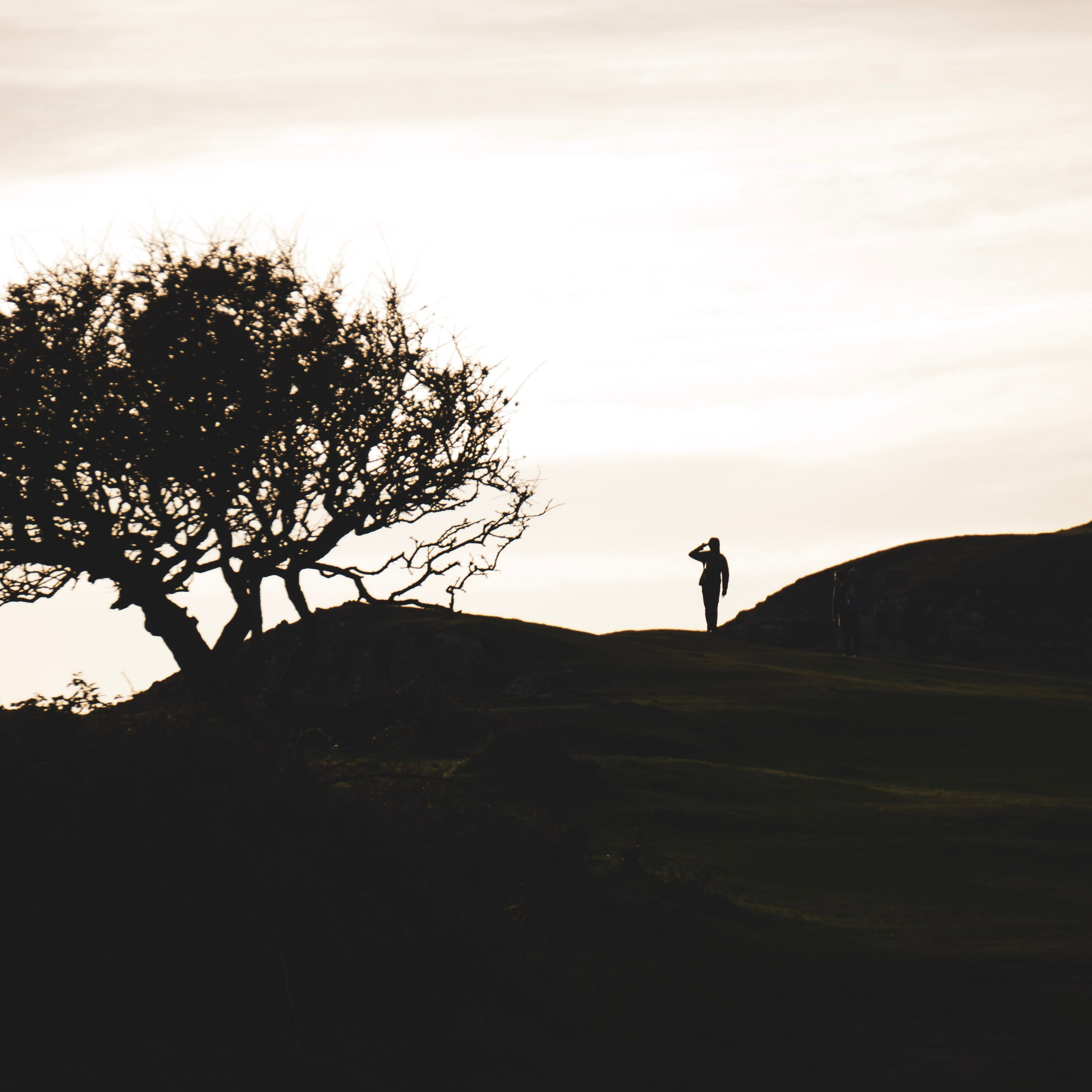 Fine art photography West Midlands, dramatic black and white landscape tree silhouette
