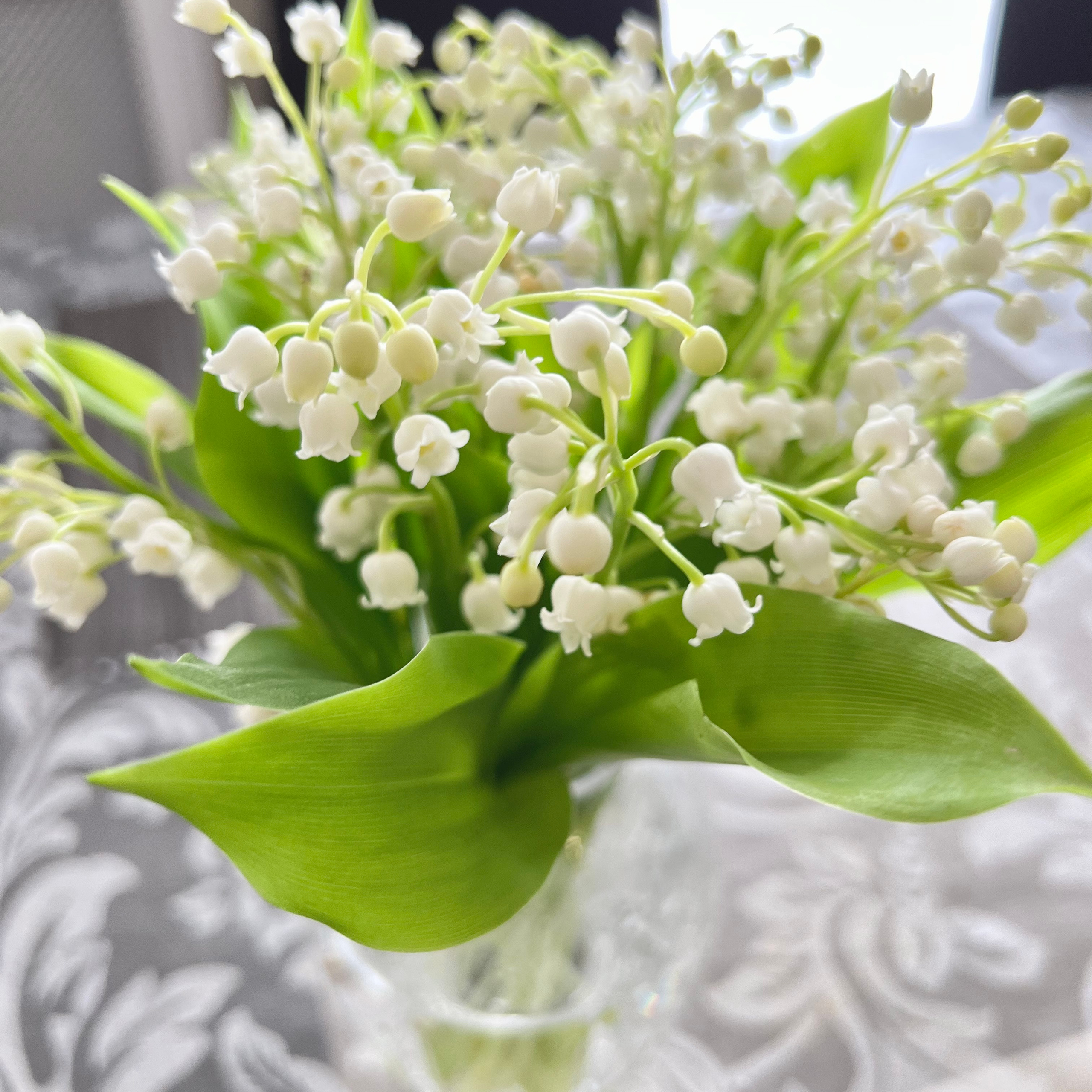 Irina Zoteeva Feedback photographer in Solihull and Birmingham. Creative Family, Brand, Boudoir and Wedding Photographer in Solihull & Birmingham Irina Zoteeva