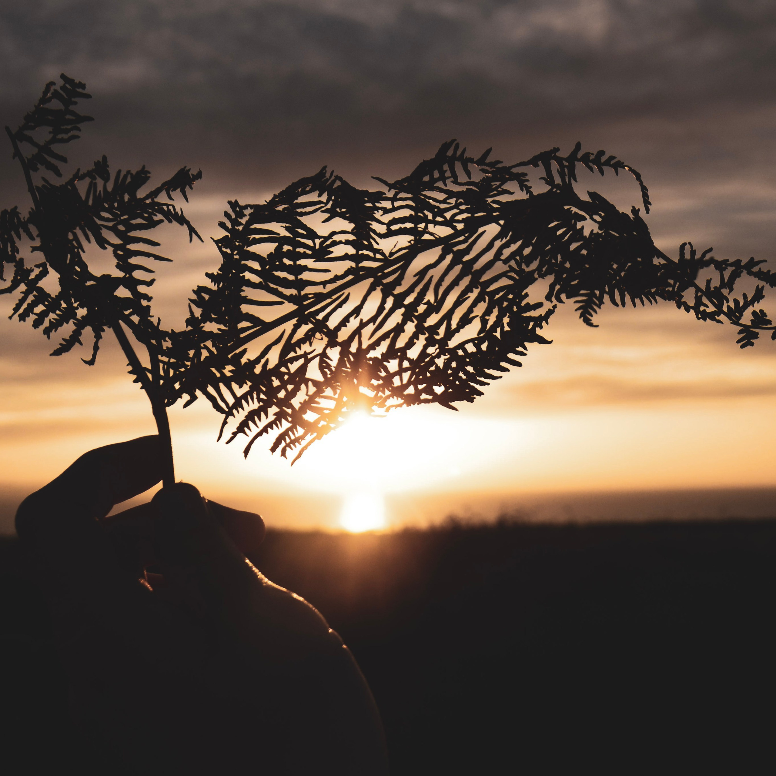 Fine art portrait photographer Solihull, dramatic sunset landscape West Midlands
