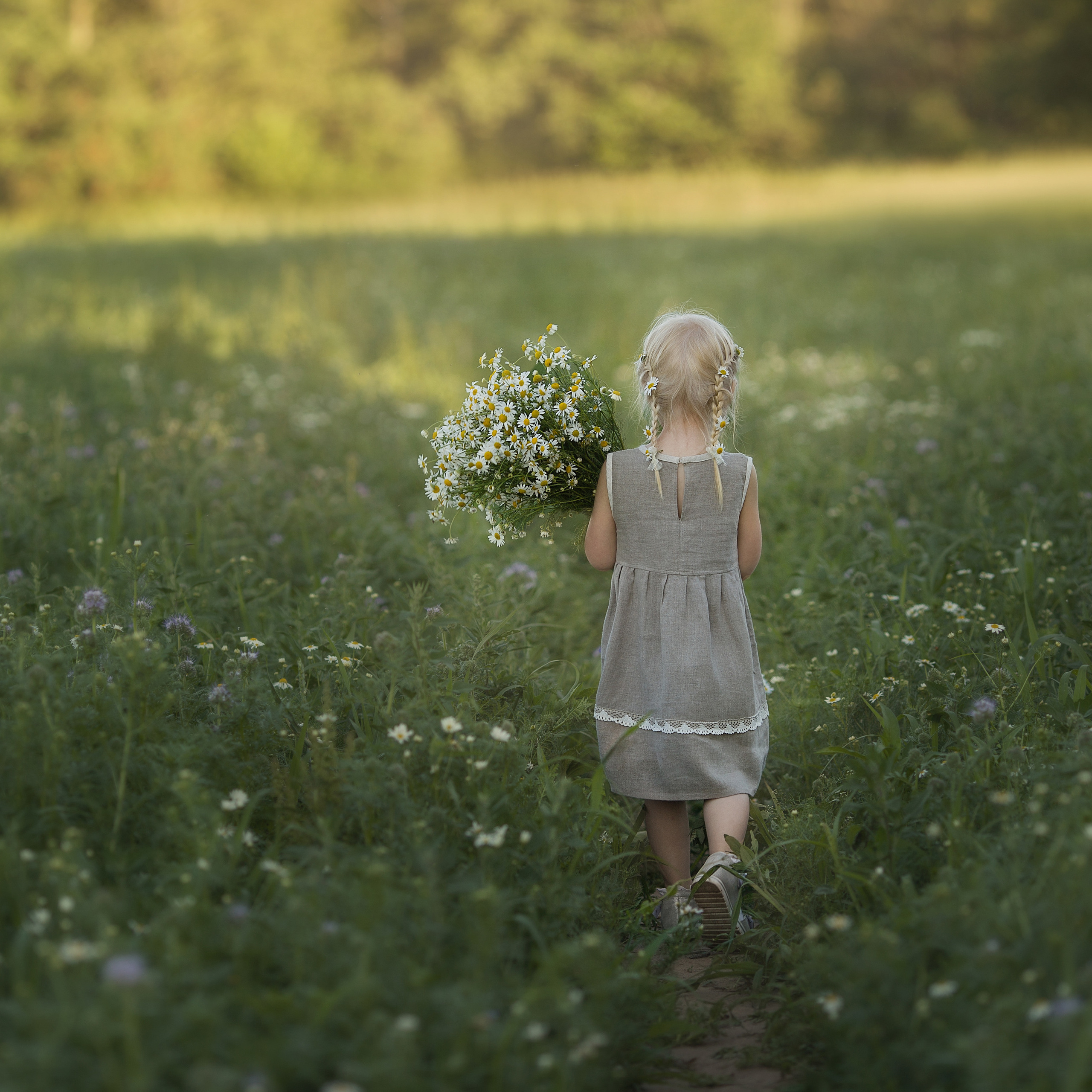 Семейная прогулка в ромашковом поле