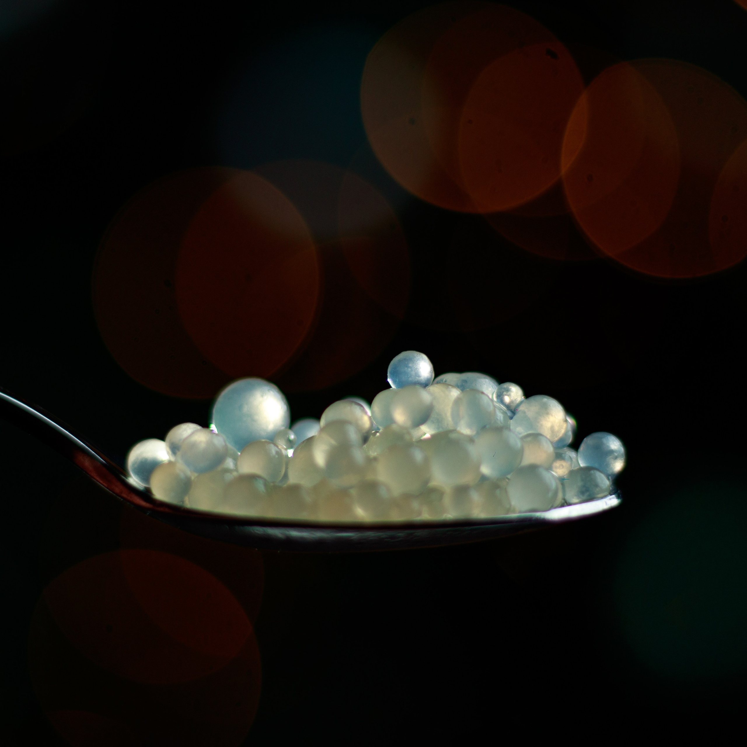 Gastro. Karnacewicz Iwan