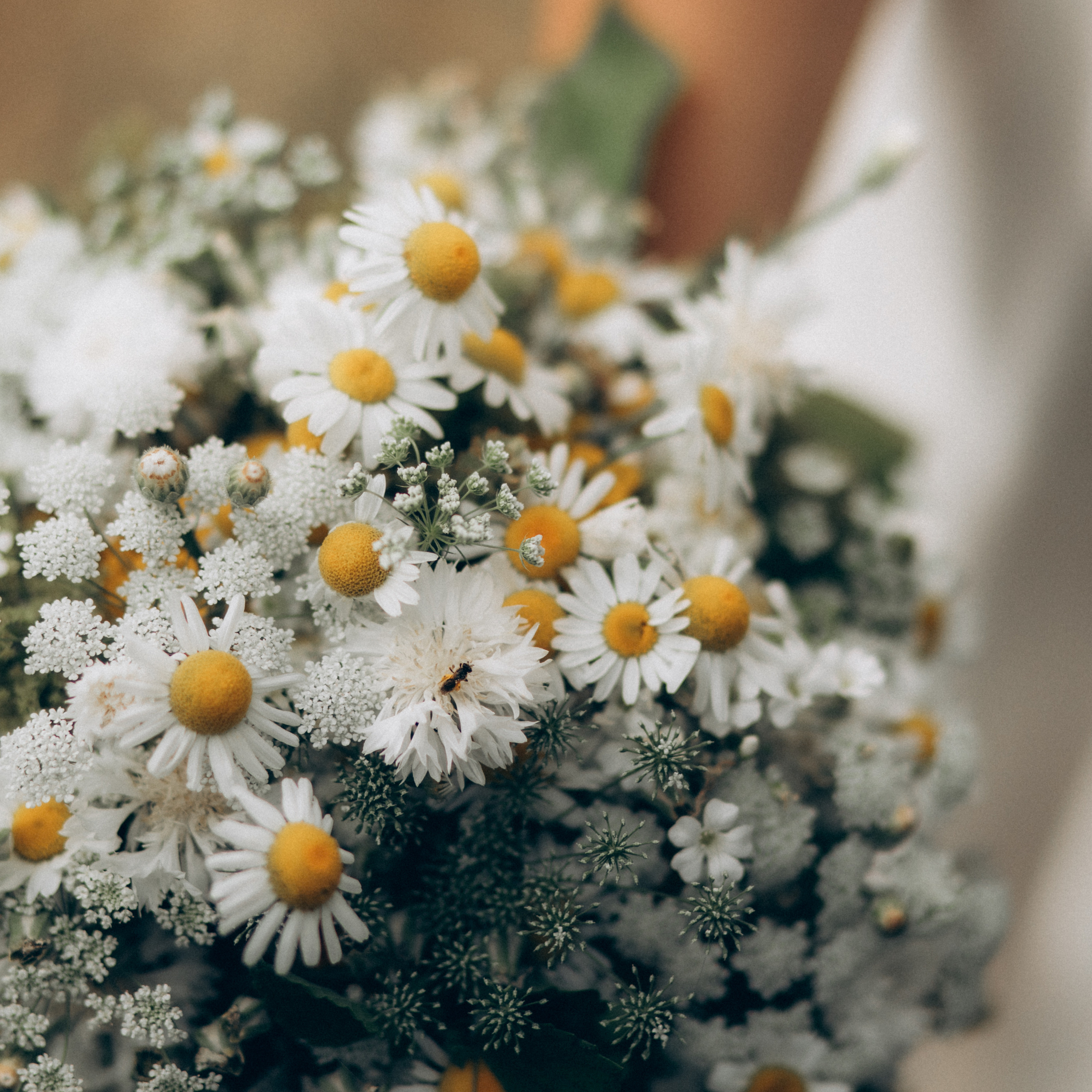 Feedback. Kristina Podolyakova - Fotografin in Ludwigsburg