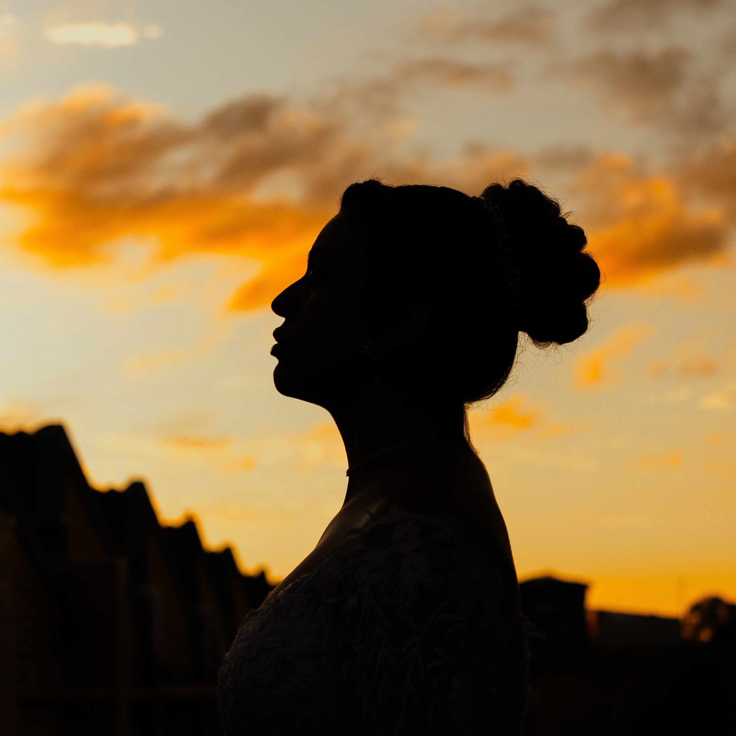 Editorial Noiva (Rosas)