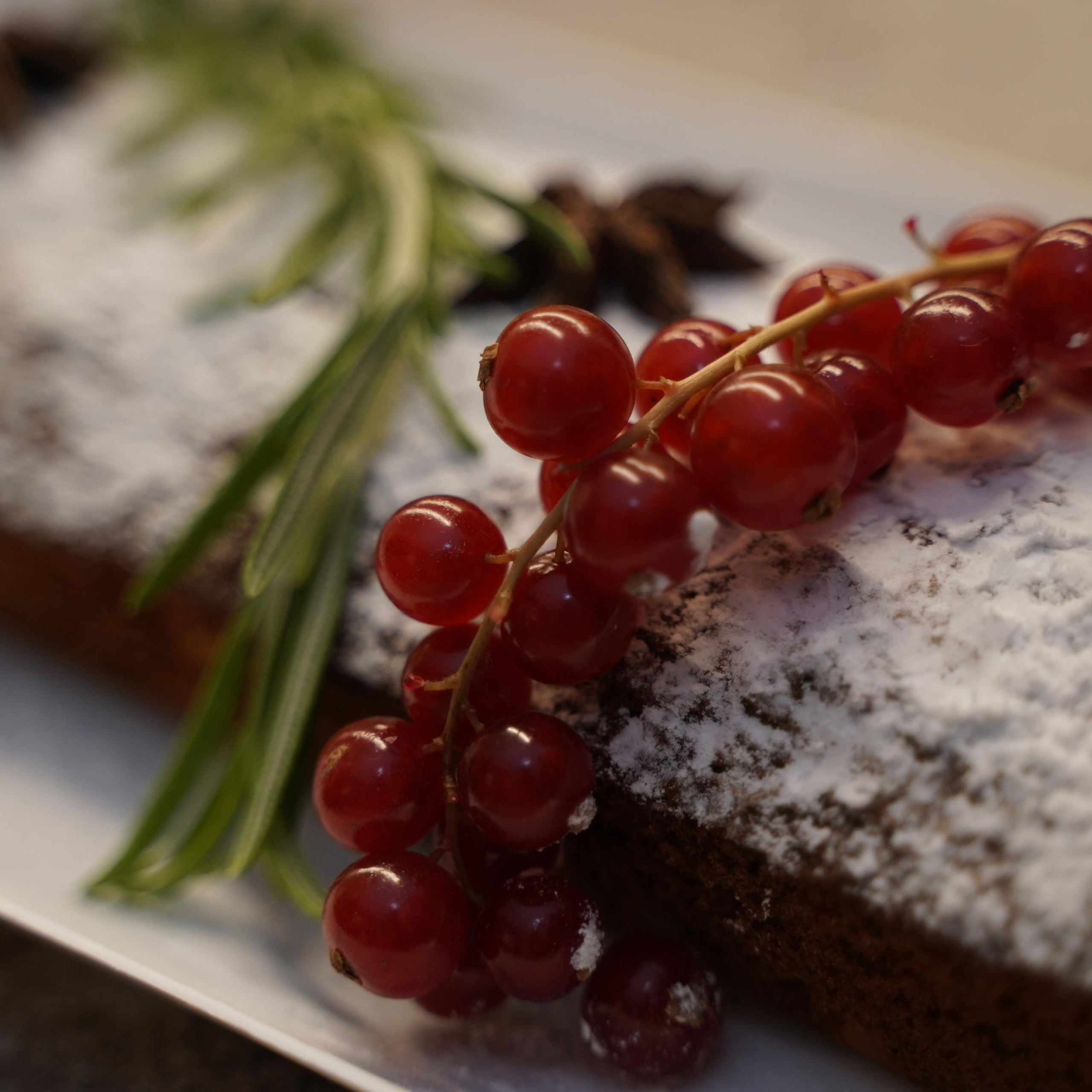 Отзывы | פידבק. Фотограф. Визуал. Хайфа. Талья Цветкова