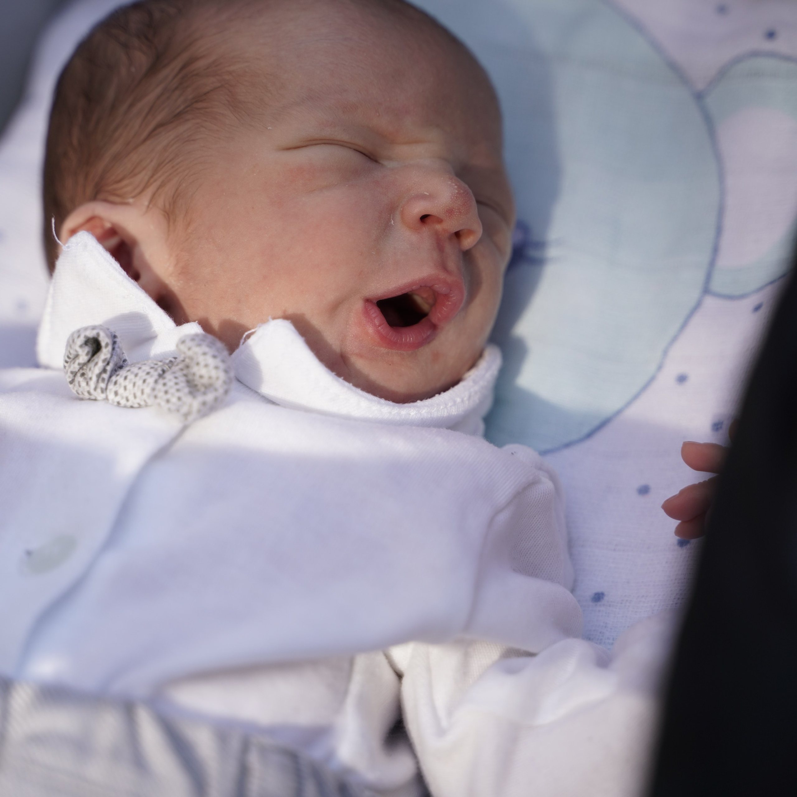 Отзывы | פידבק. Фотограф. Визуал. Хайфа. Талья Цветкова