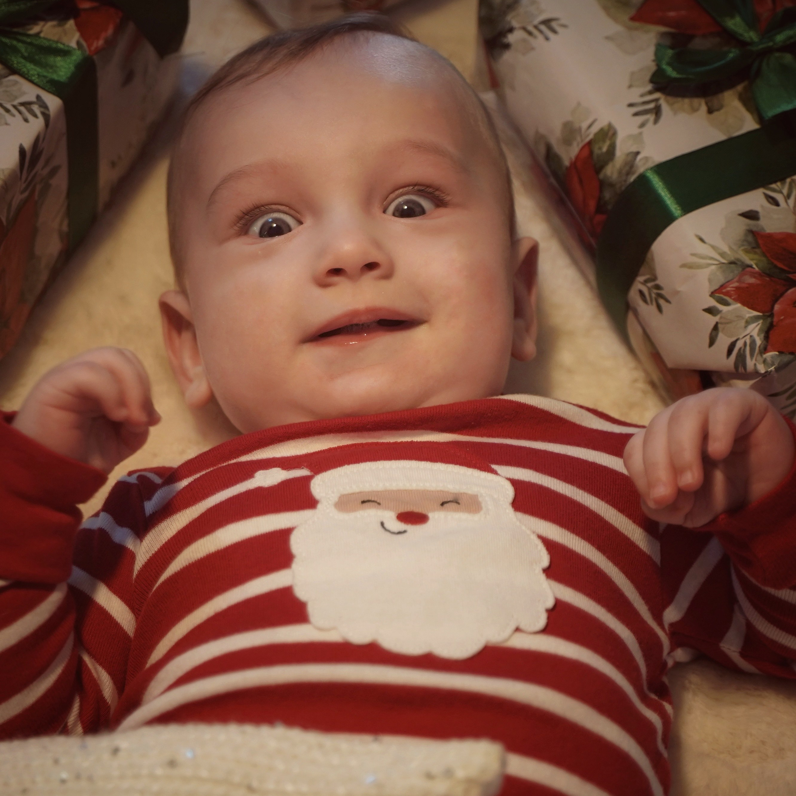 Гномик под елочкой