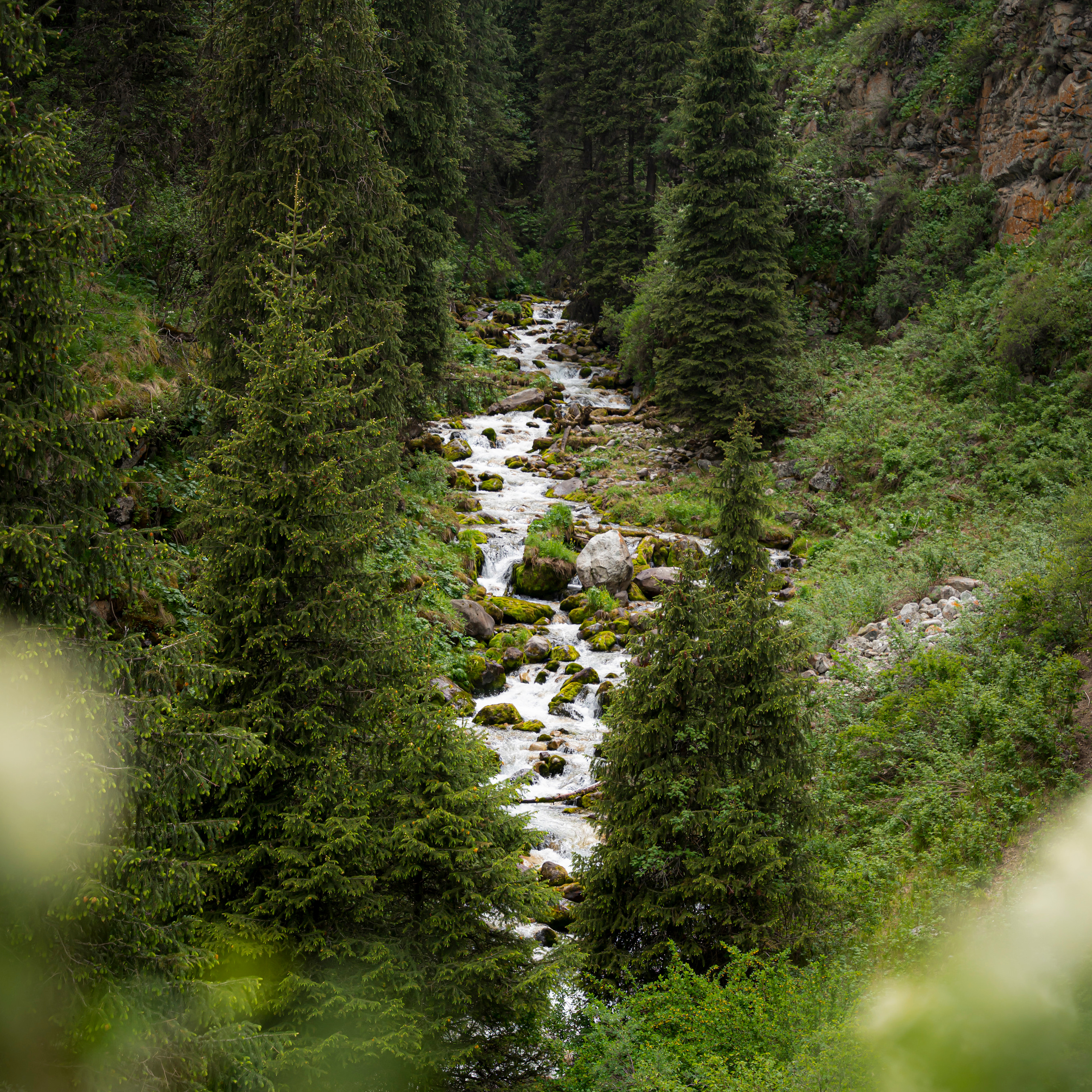 Feedback. ISAKOV PHOTO-здесь собраны мои работы