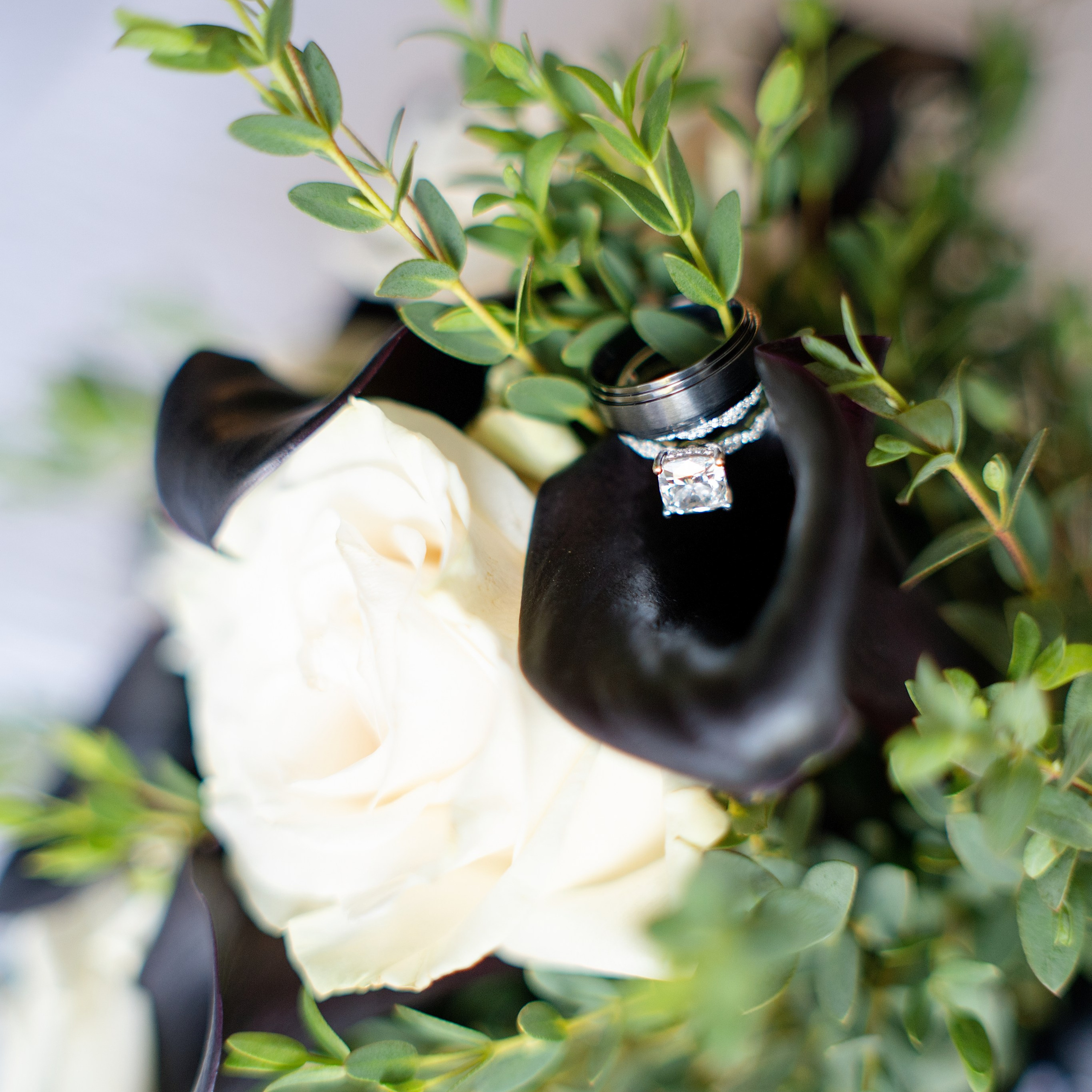 Family photographer in Roseville, Rocklin, Folsom, Sacramento