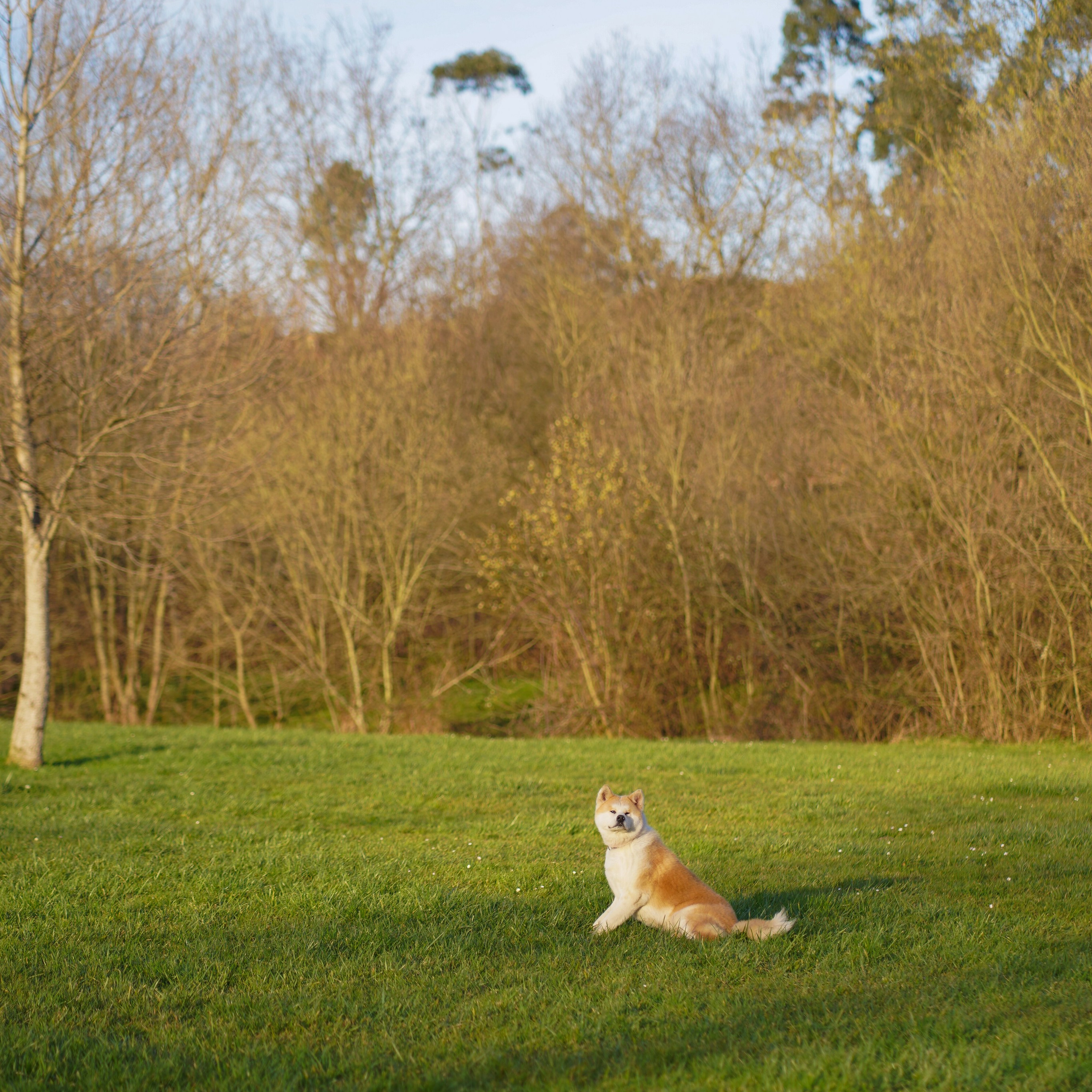 Testimonios. Fotógrafo de bodas y familias en España, Málaga, Marbella