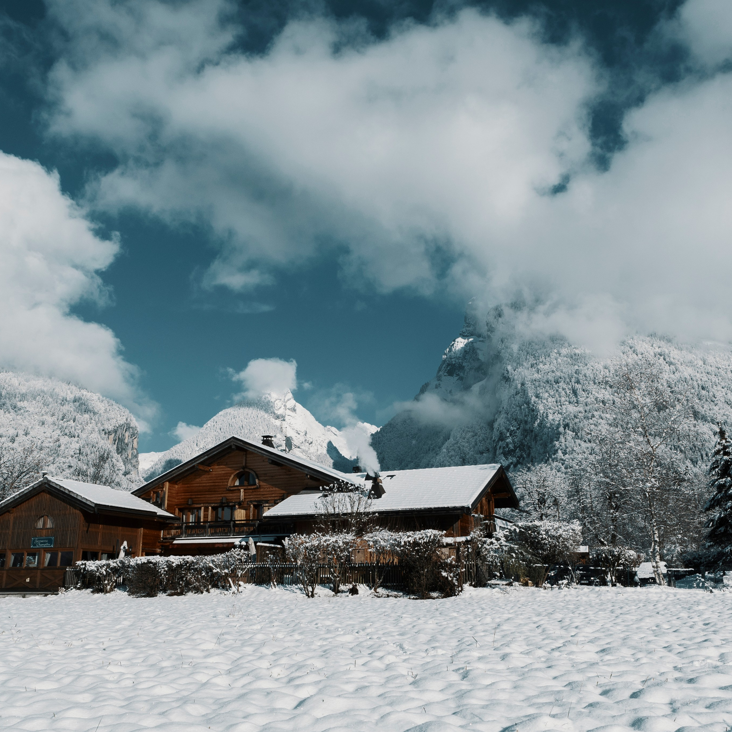 IMMOBILIER. OLGA REPTIK