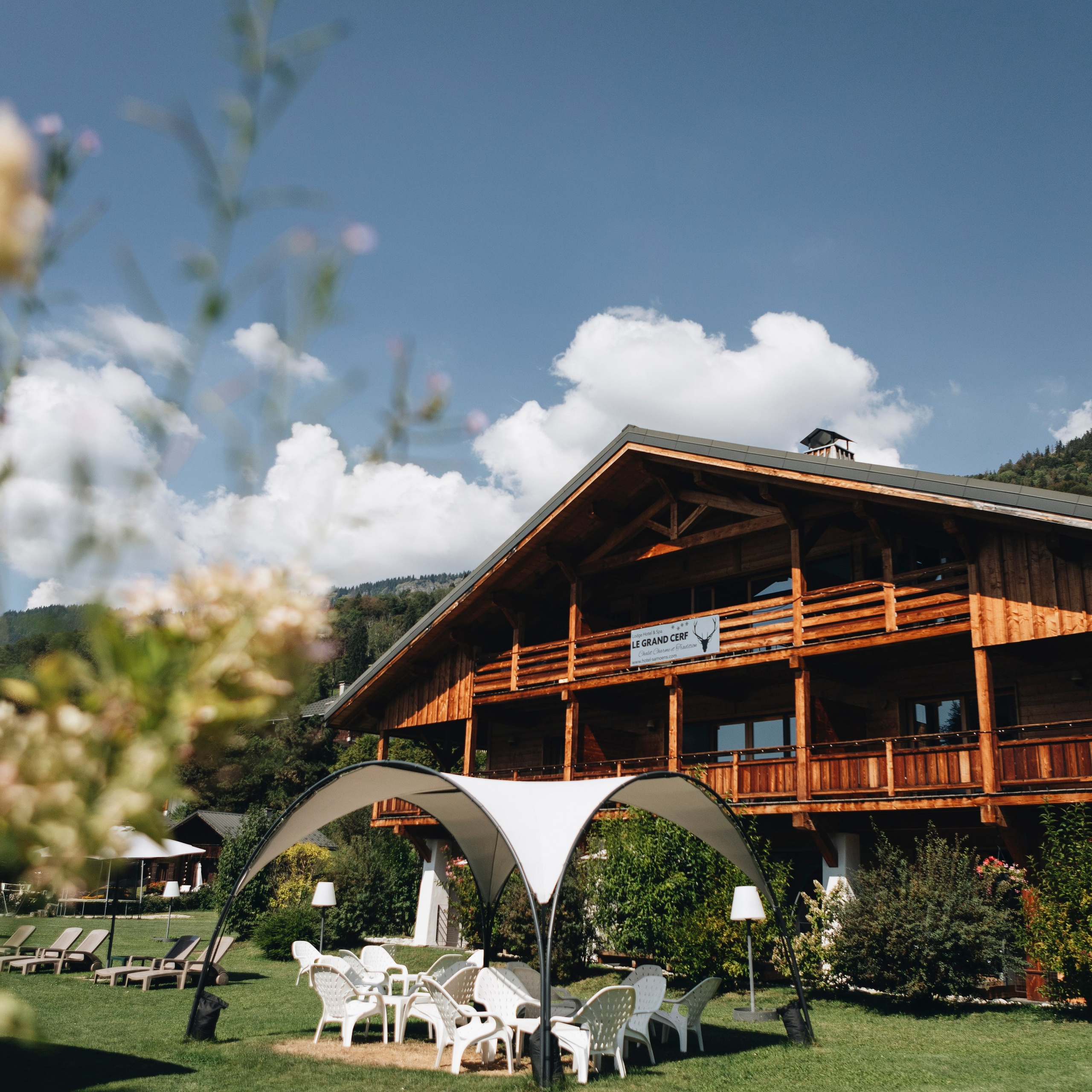 IMMOBILIER. OLGA REPTIK