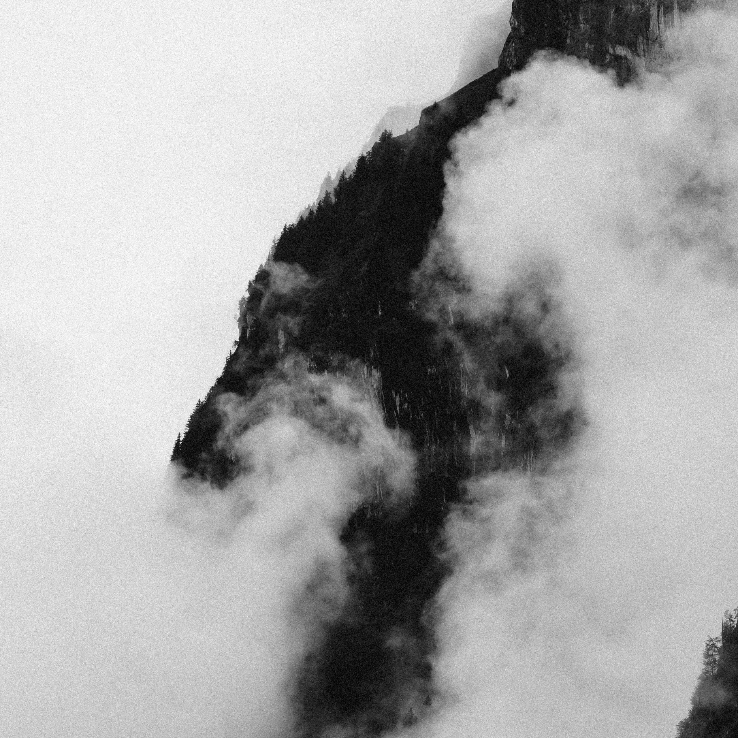 BLACK AND WHITE. OLGA REPTIK