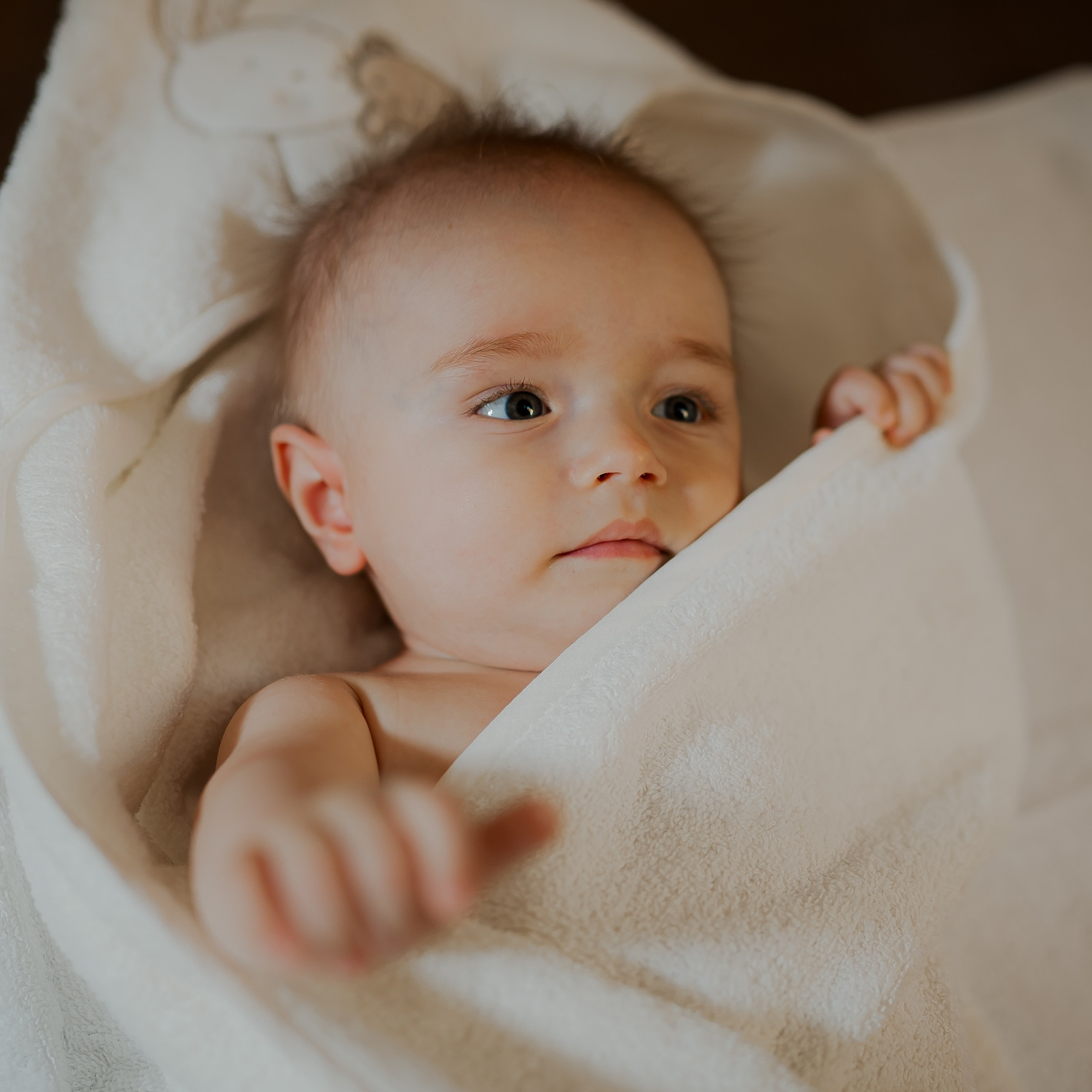 David. Www.stayscolor.md