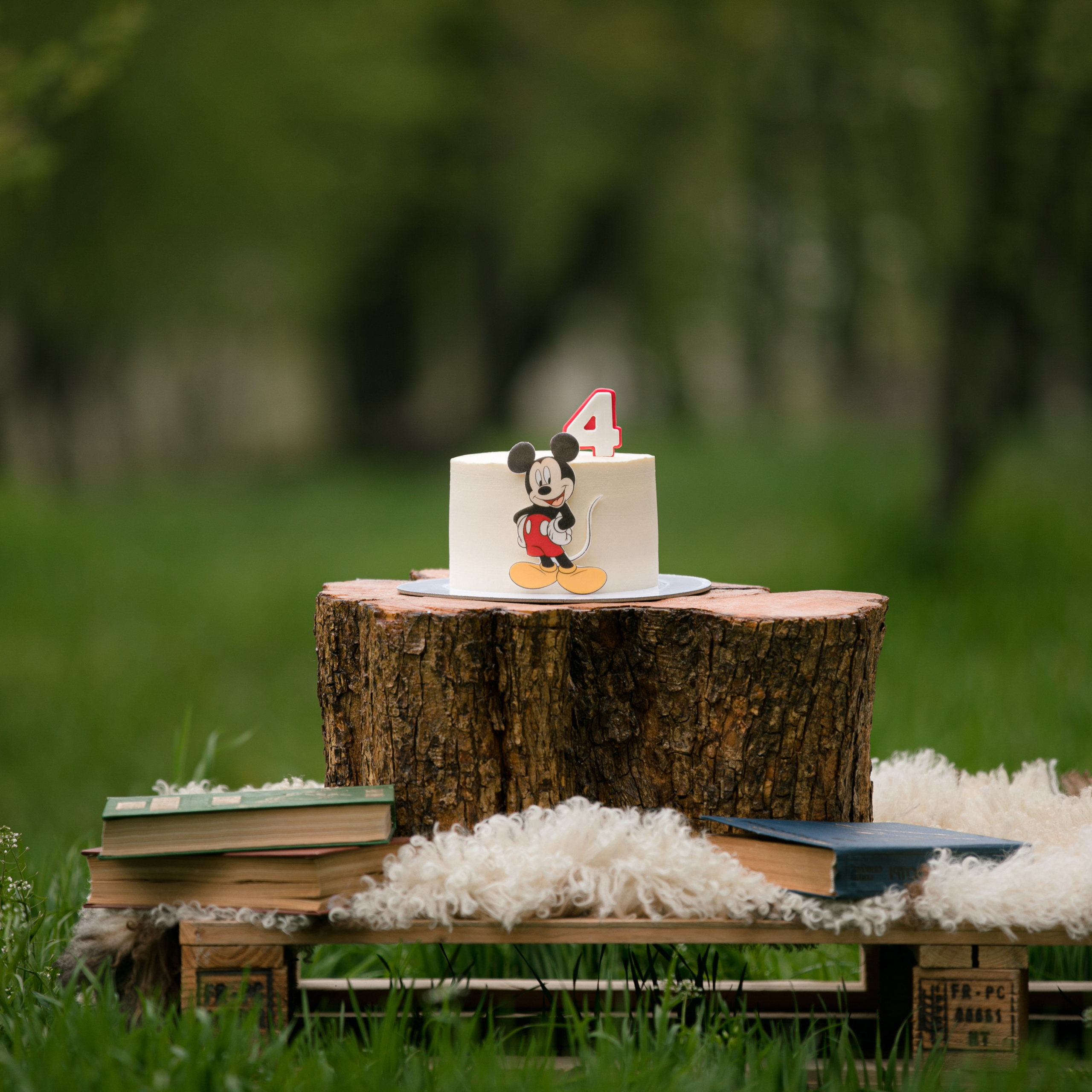 4 ani. Www.stayscolor.md