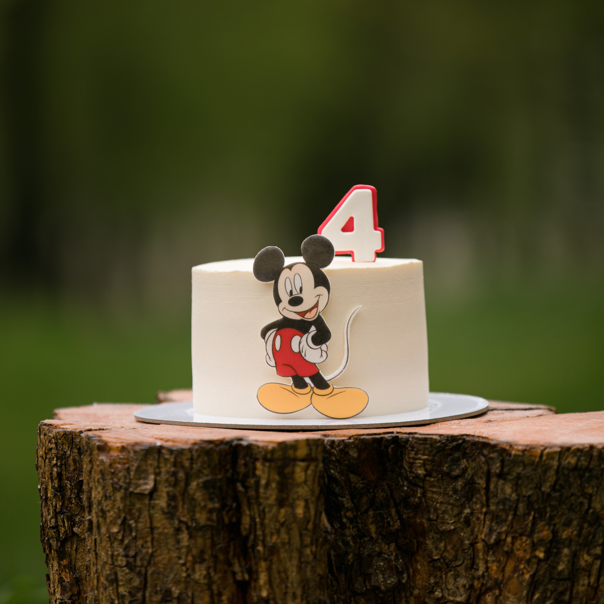 4 ani. Www.stayscolor.md