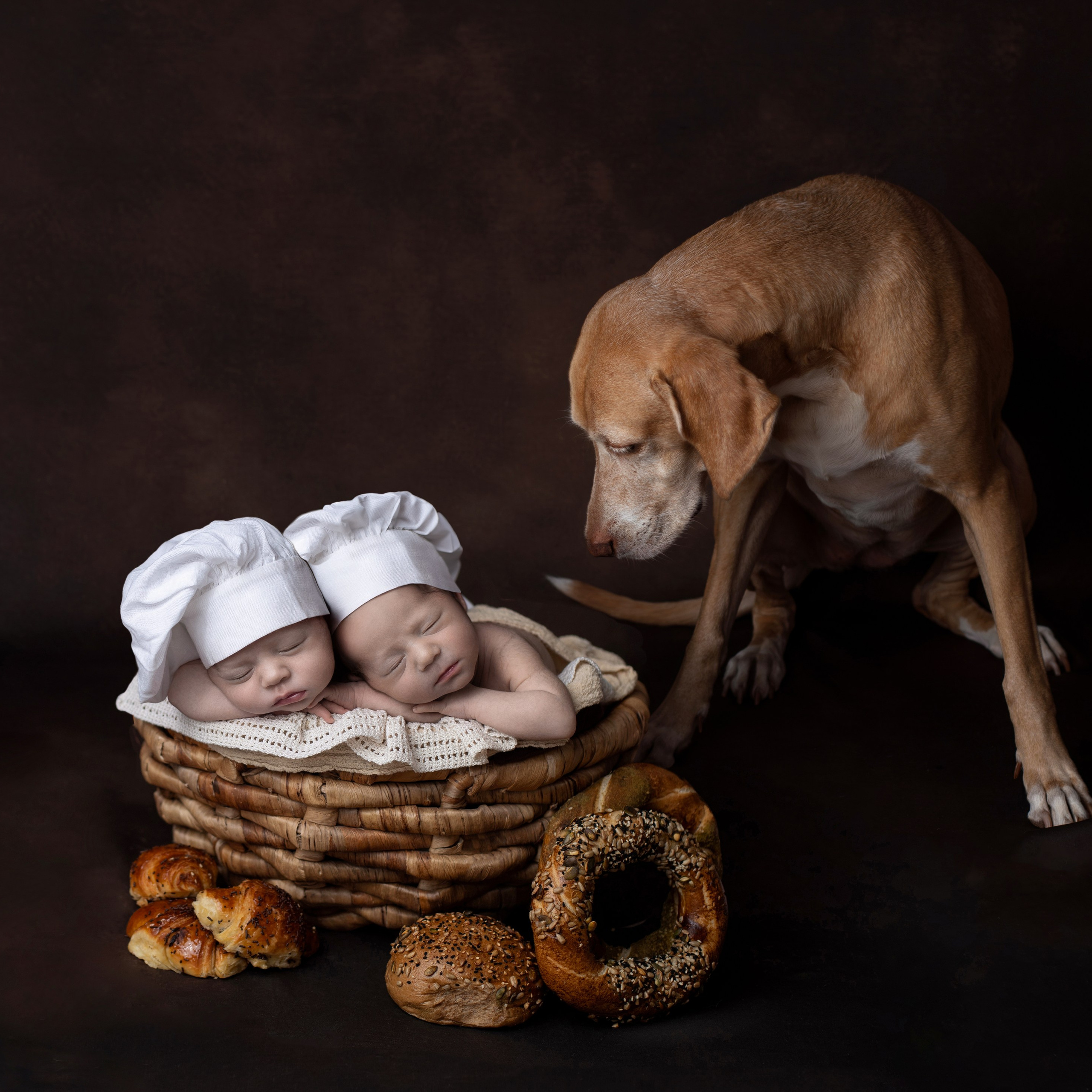 Каталог 1 Newborn