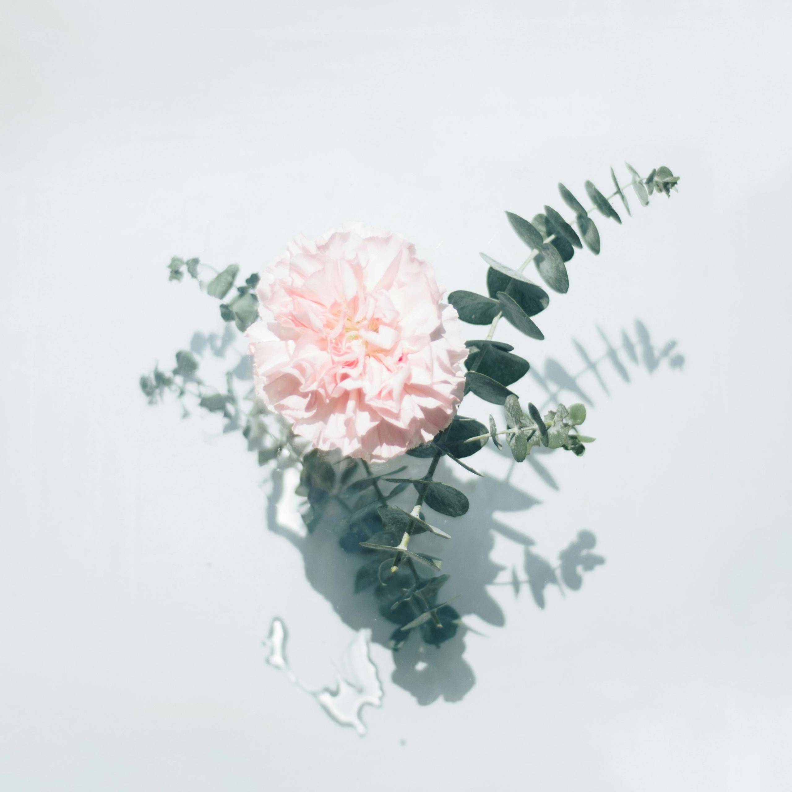 B e w e r t u n g e n. Beauty Studio Perfekto