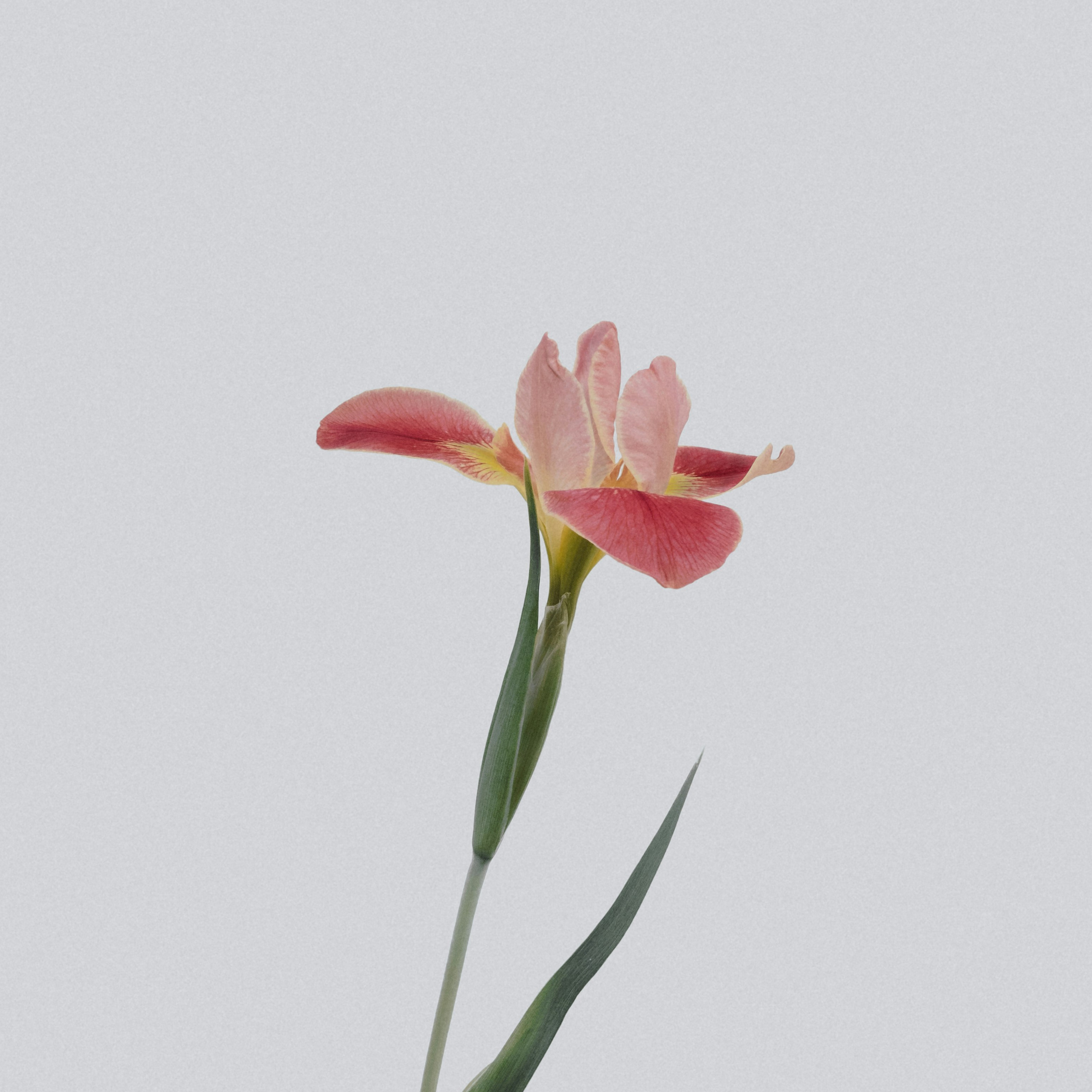 B e w e r t u n g e n. Beauty Studio Perfekto