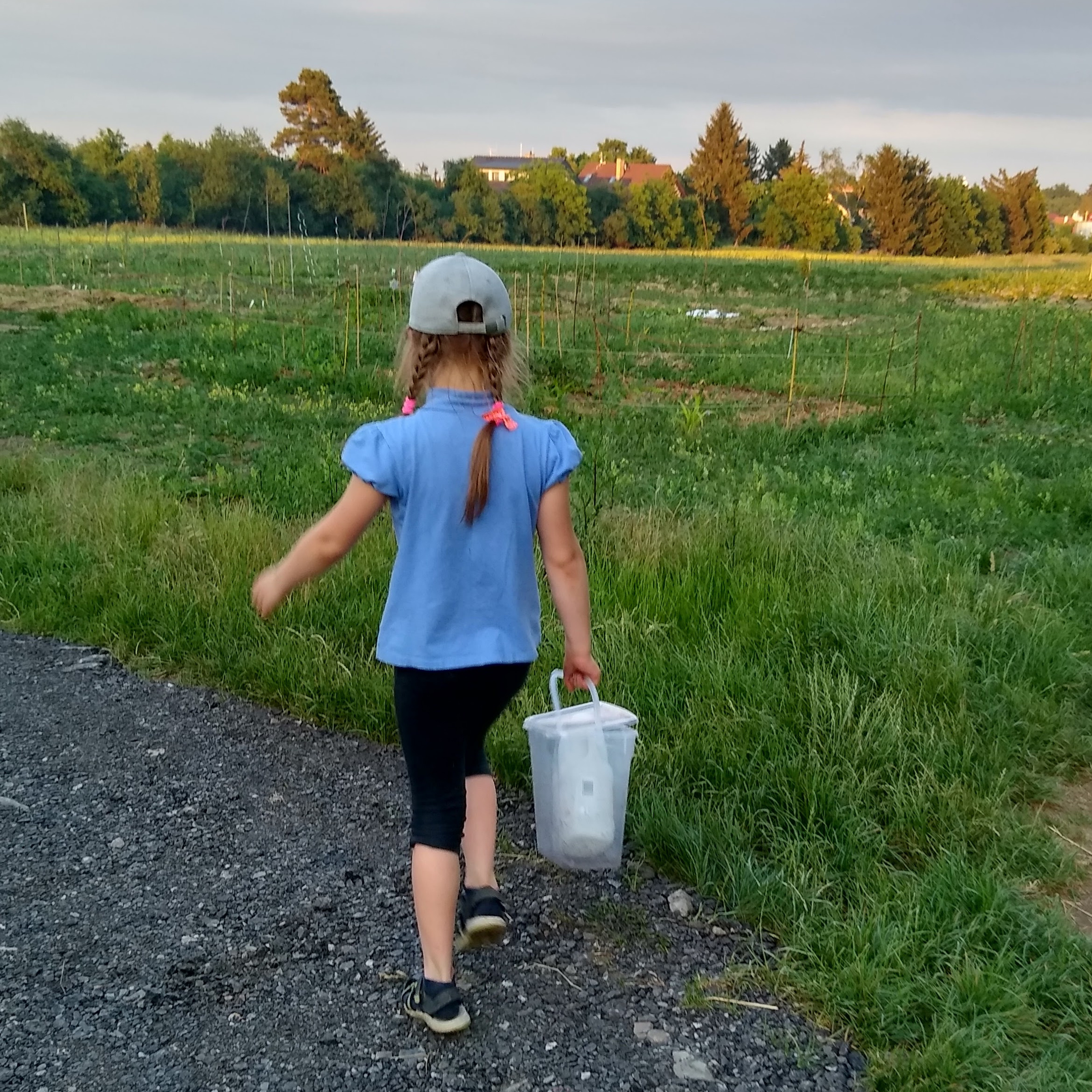 2022. Kiki-Niki-Cha! Learn, play, and discover with us!