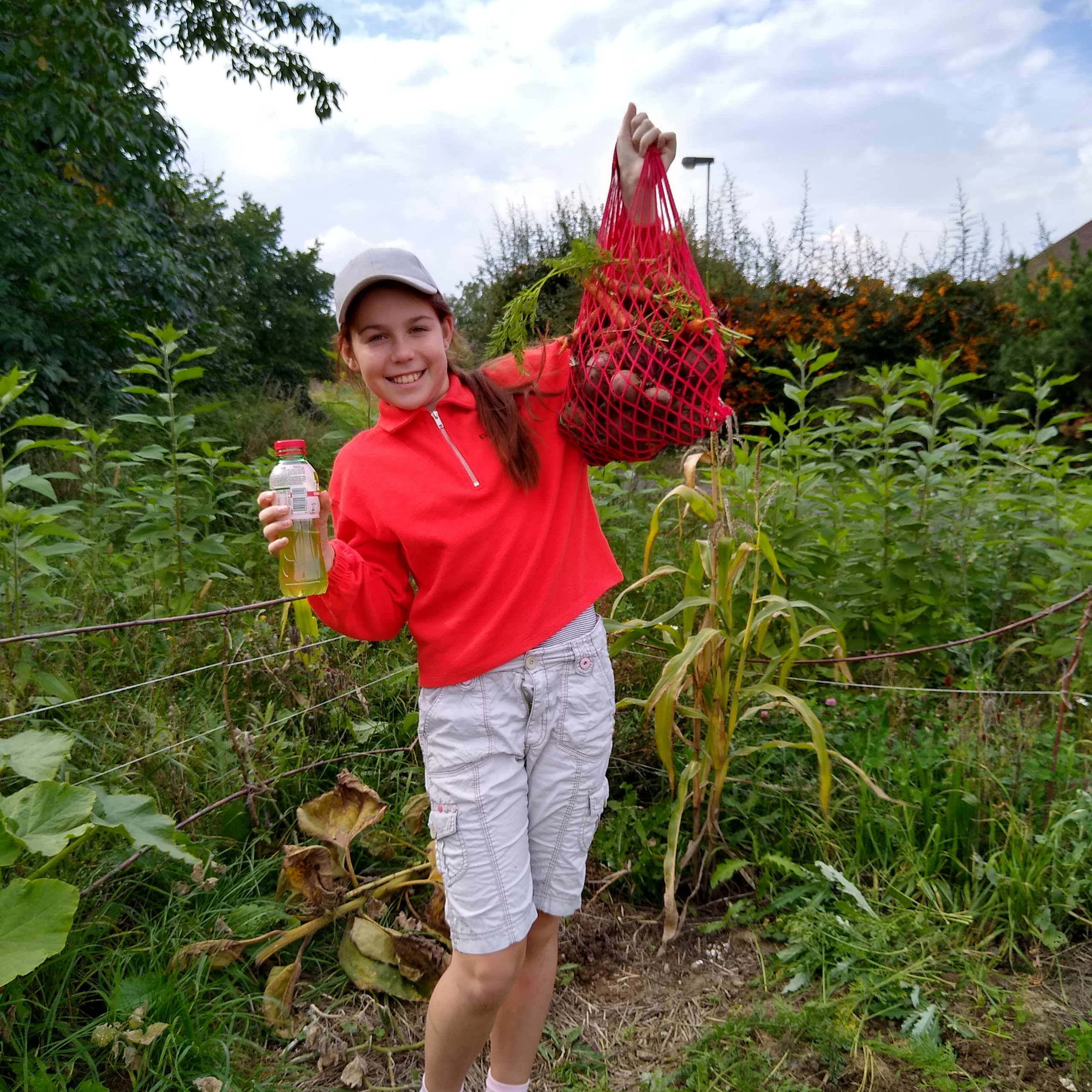 2022. Kiki-Niki-Cha! Learn, play, and discover with us!