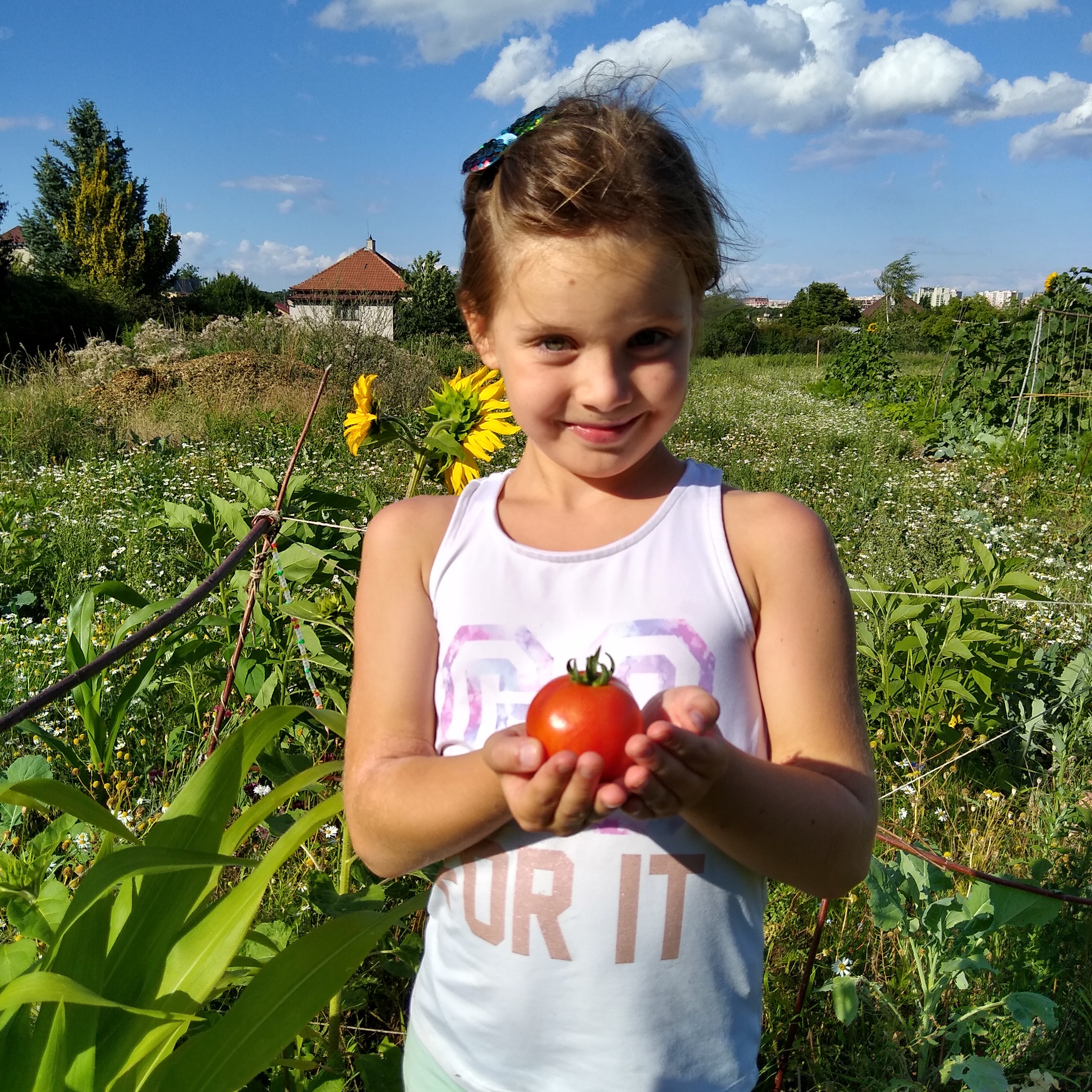 2022. Kiki-Niki-Cha! Learn, play, and discover with us!