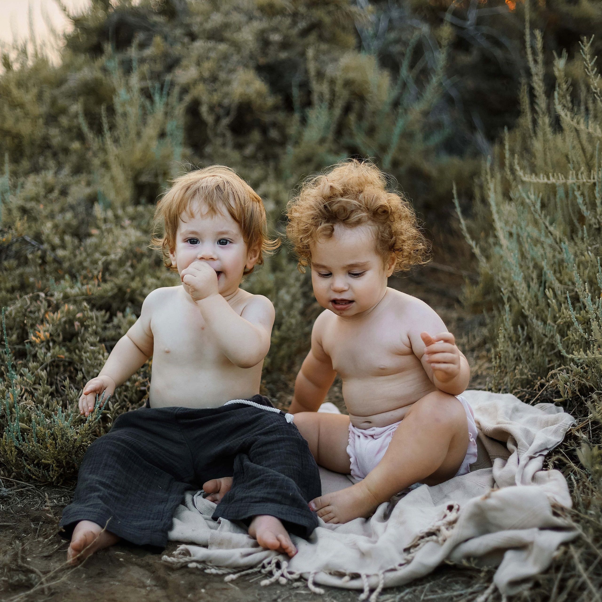 Little curls in Atlit