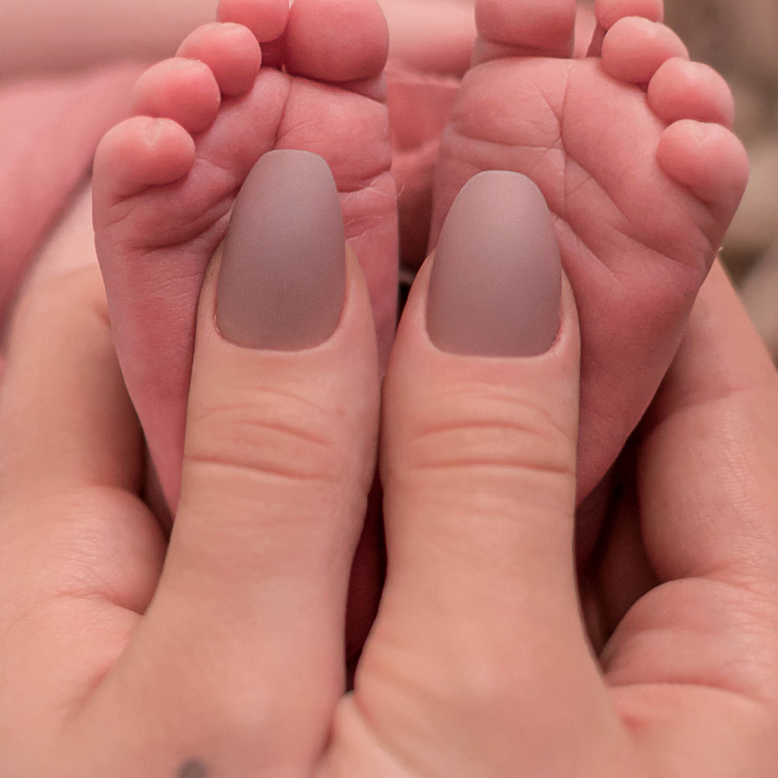 Referenzen. Lena Horch