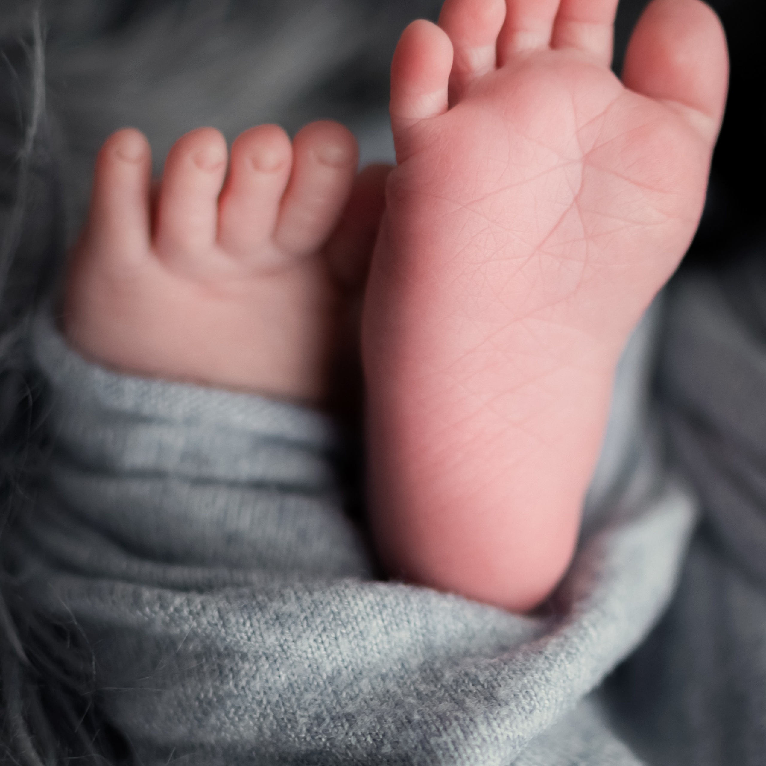 Referenzen. Lena Horch