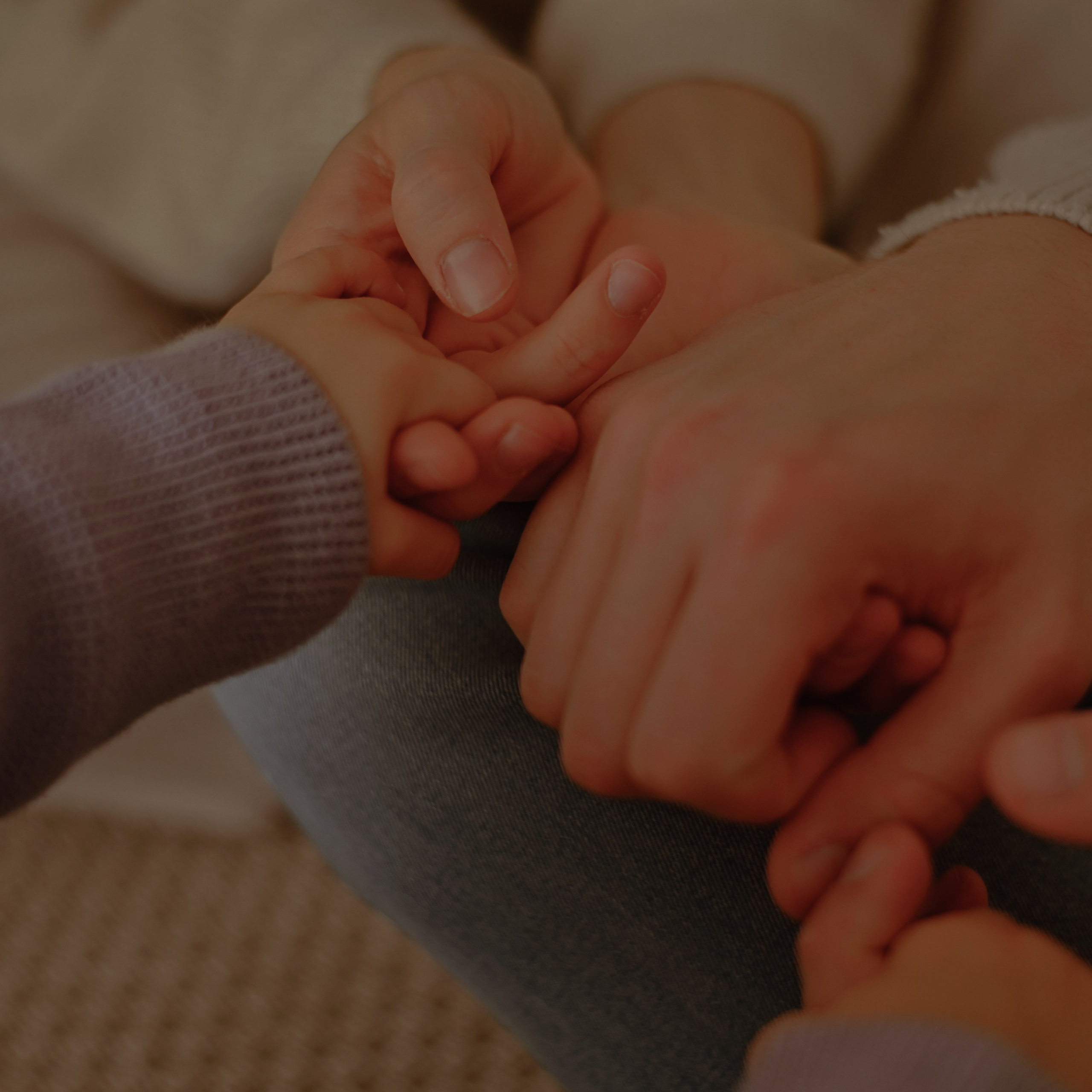 Referenzen. Lena Horch